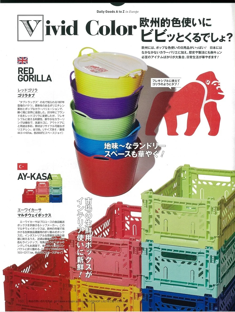 20190116Begin3月号_TUB&AY.jpg
