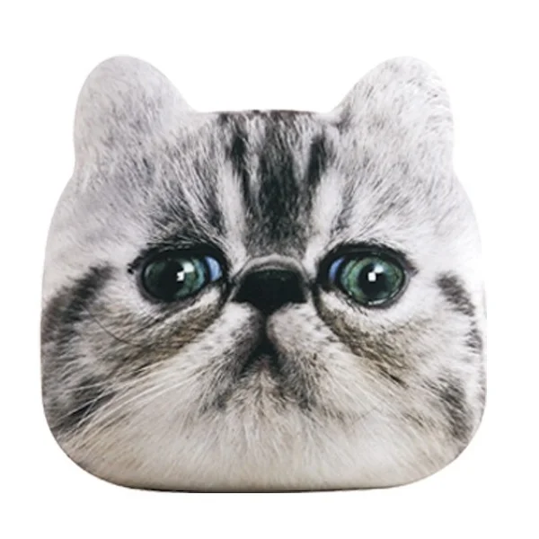tiger cat.jpg