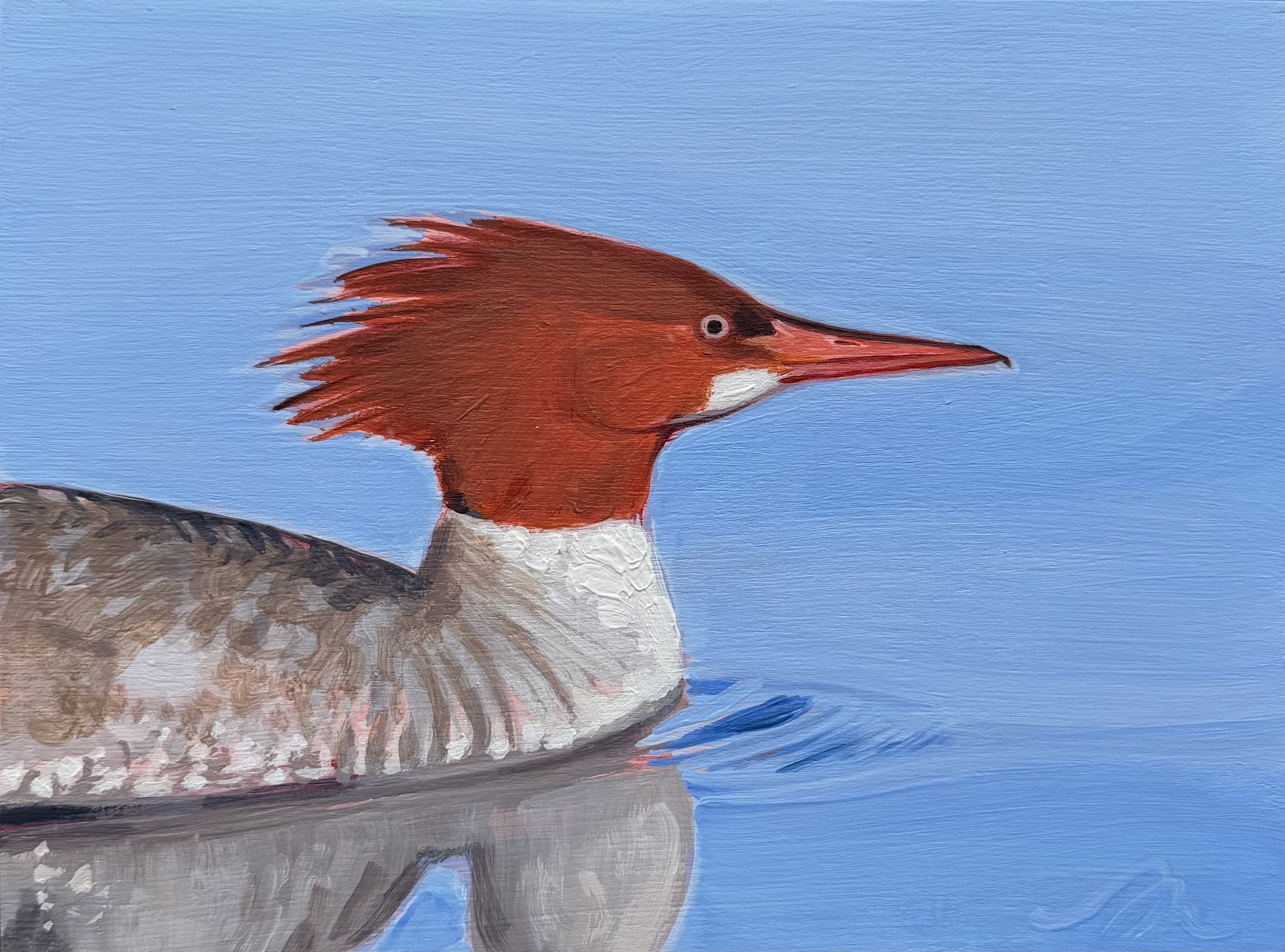 Merganser.jpeg
