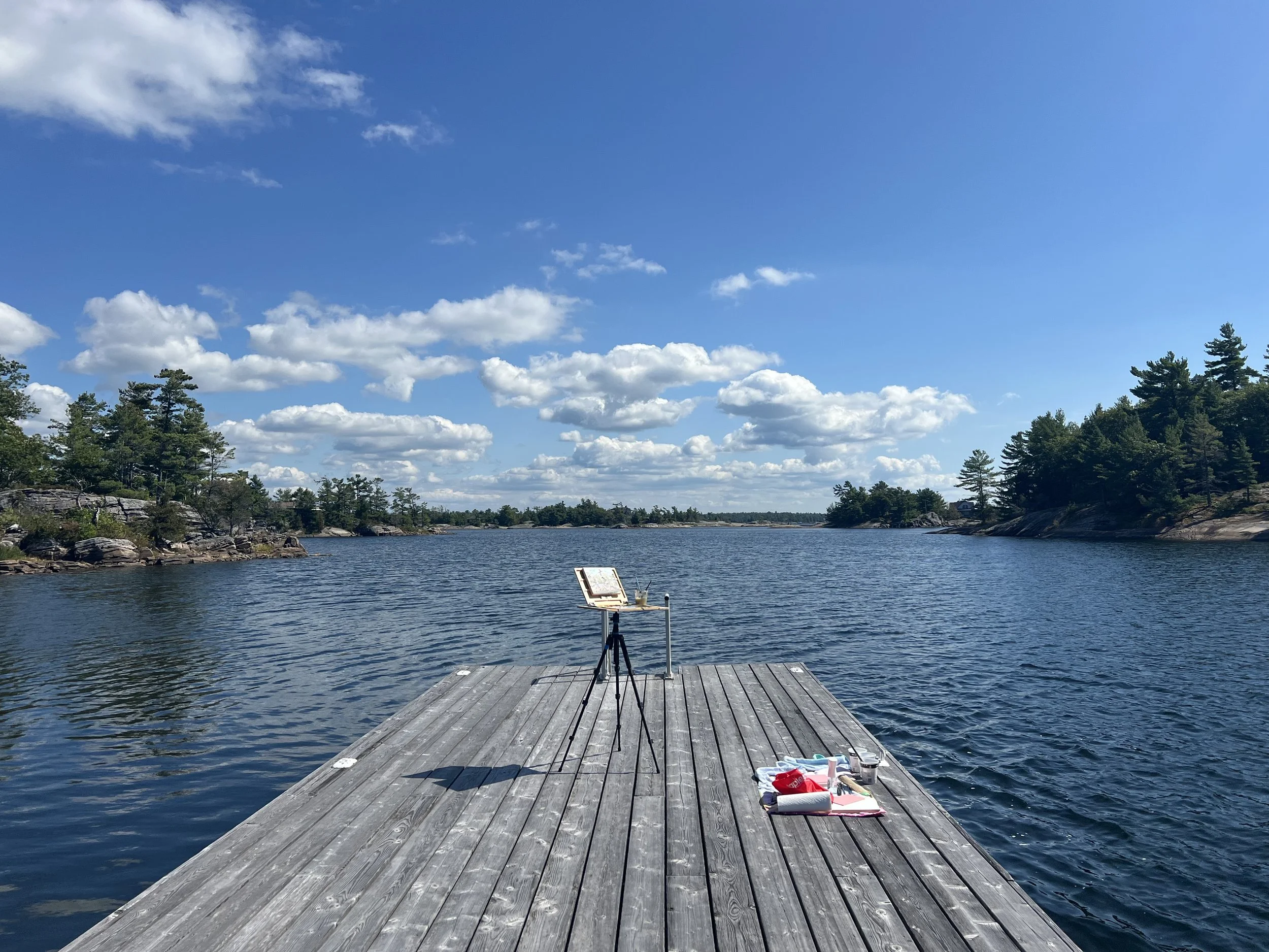  The friend’s dock where I got to paint from last fall (2025). Several pieces from this location are part of the Habitat Collection. 