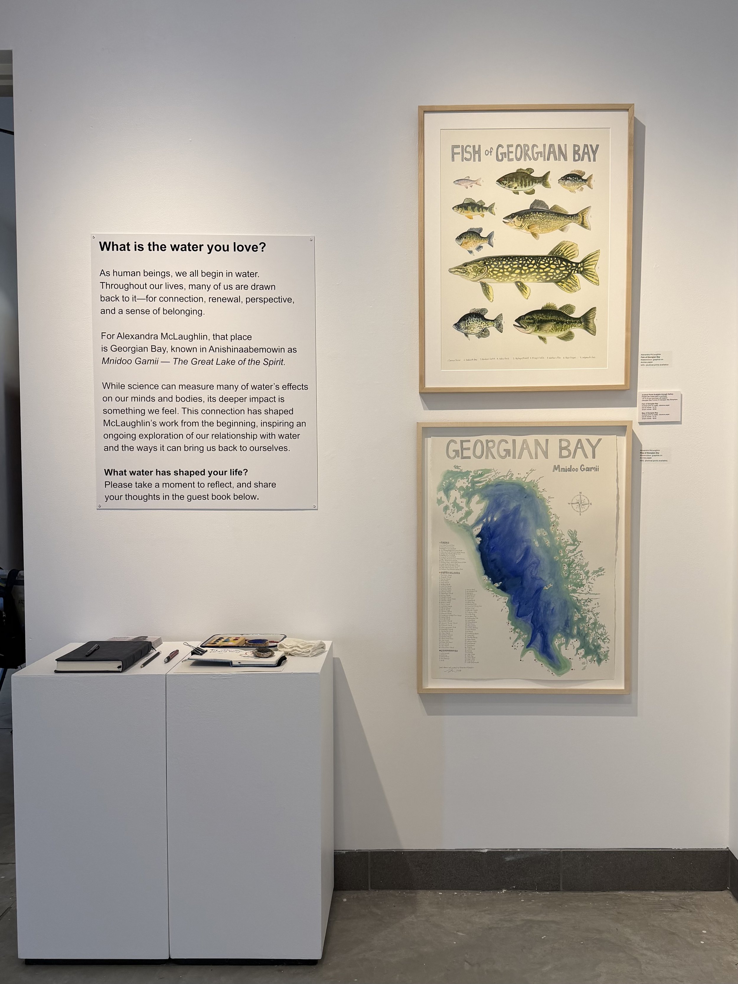  Condensed wall didactic, Close to the Water, solo exhibition at Quest Art School + Gallery Sept 11-Nov. 2, 2026  Fish of Georgian Bay and Map of Georgian Bay prints available through the gallery, with 15% being donated to the Georgian bay Biosphere/