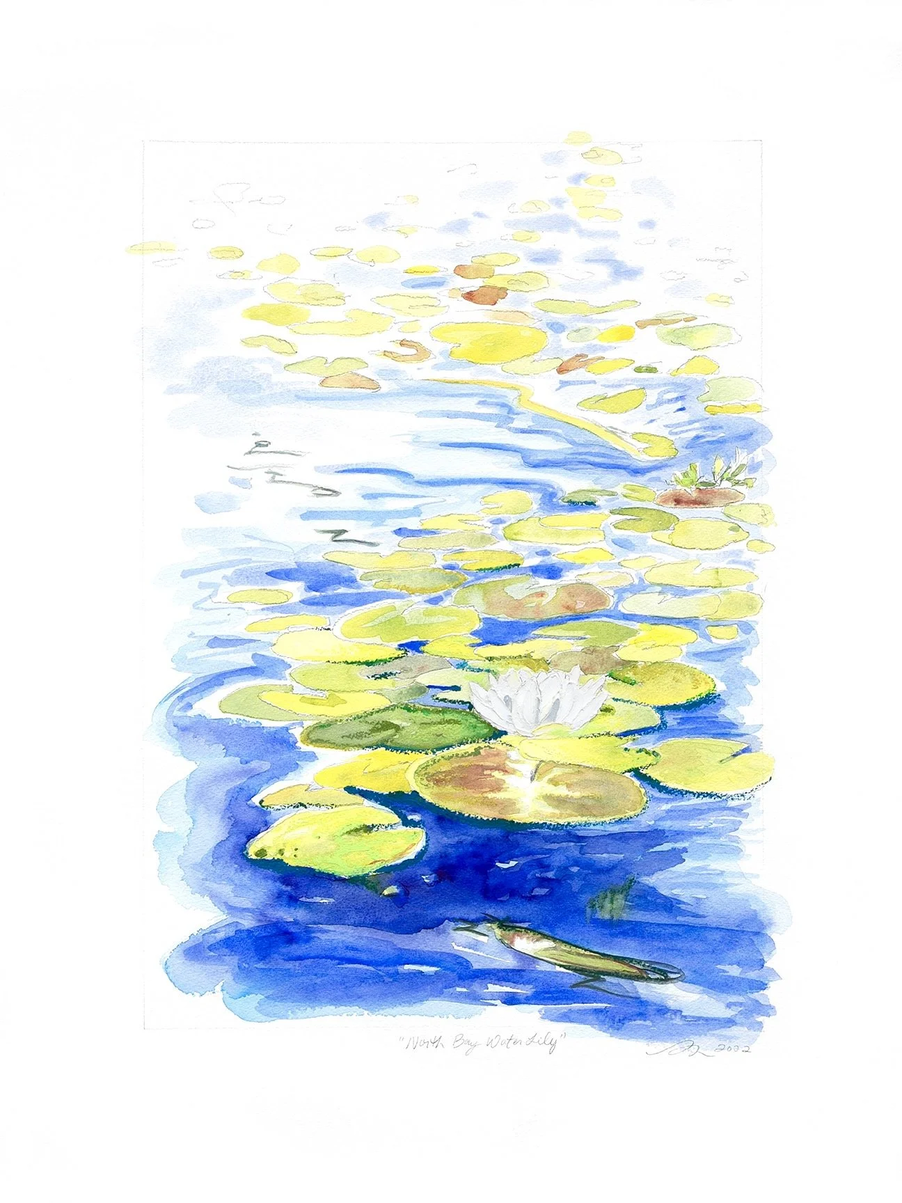 North Bay Water Lily_18x24 WEB.jpg