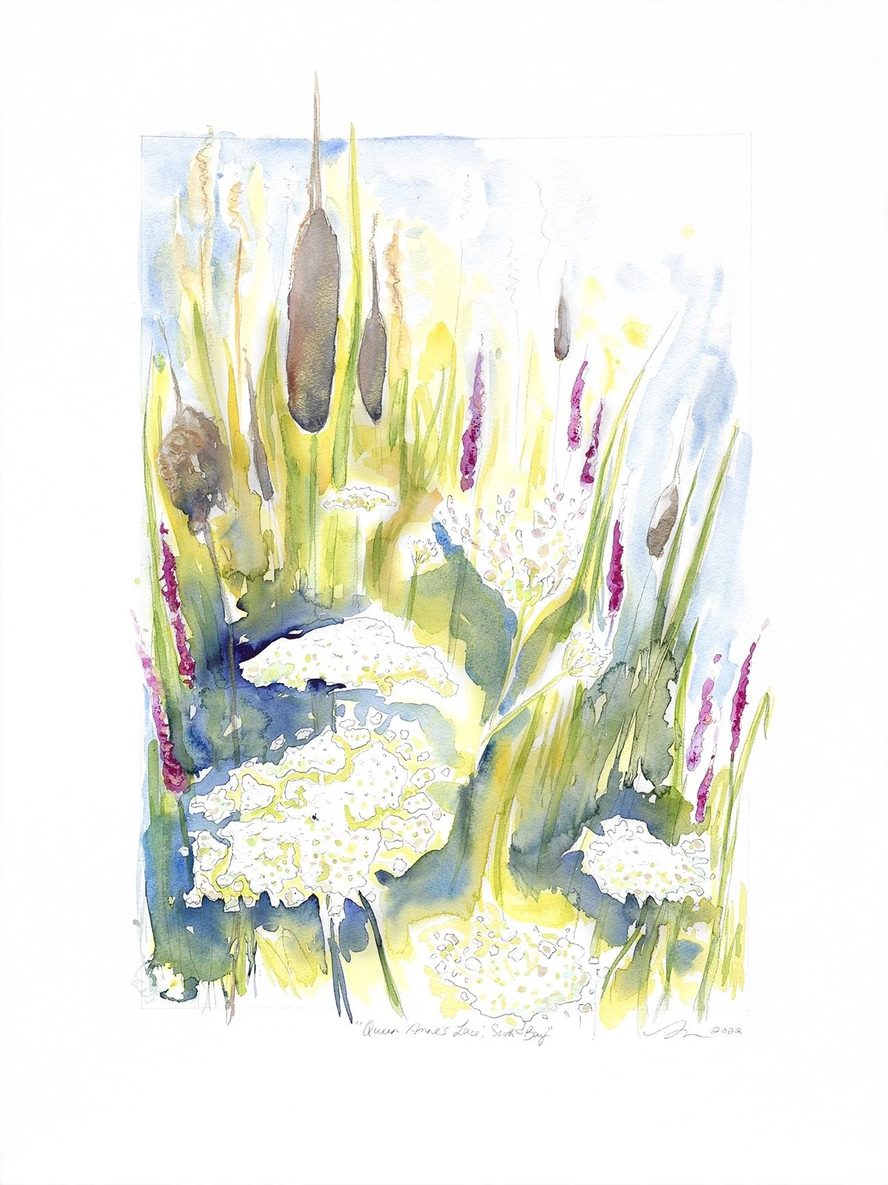 Queen Anne's Lace, South Bay 18x24 WEB.jpg