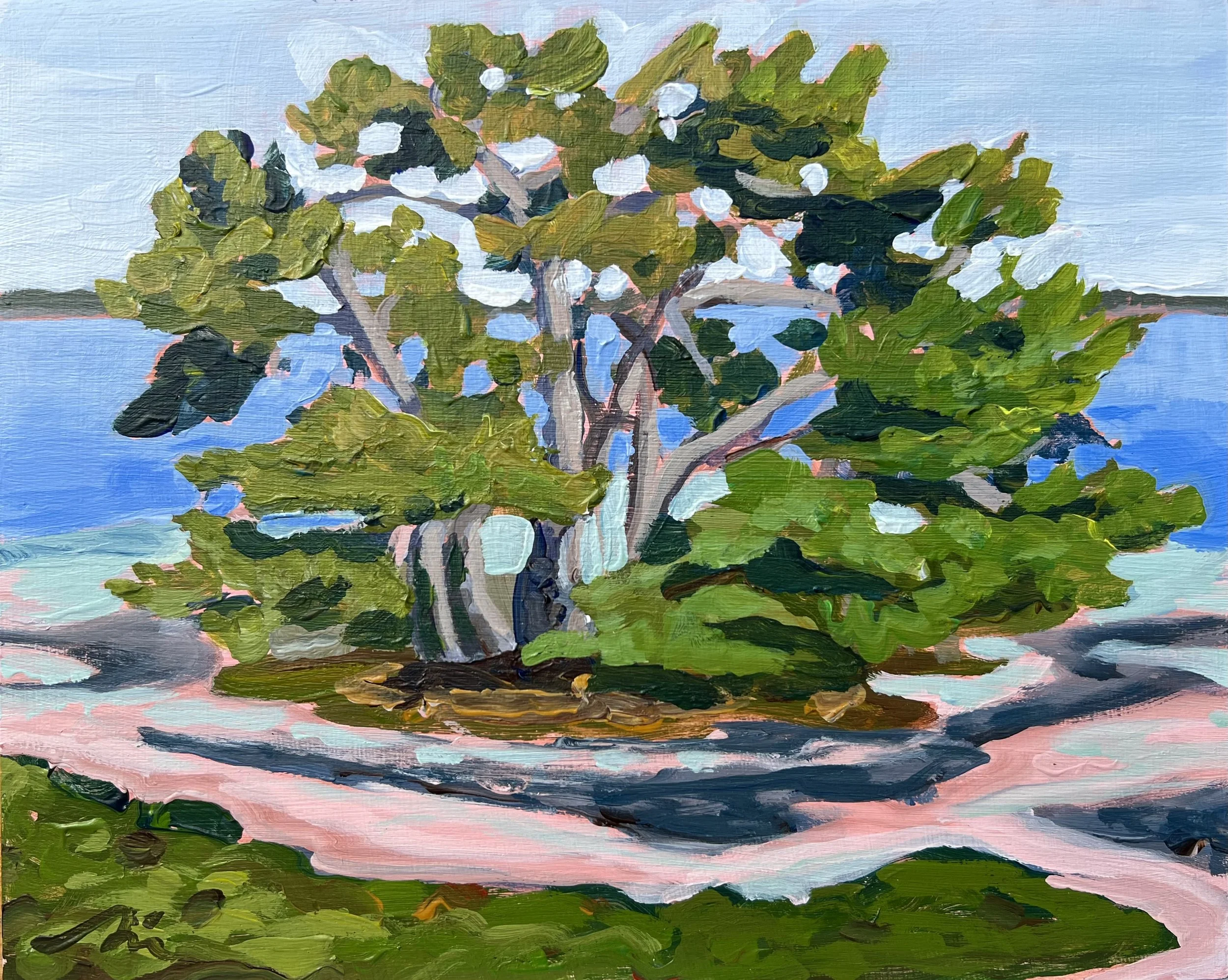 The Pines No. 6
