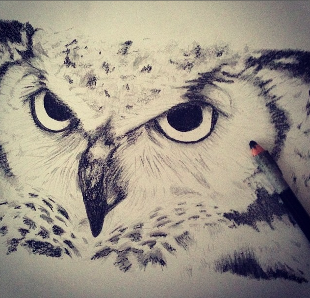 Screen shot 2015-02-19 at 7.21.09 PM.png