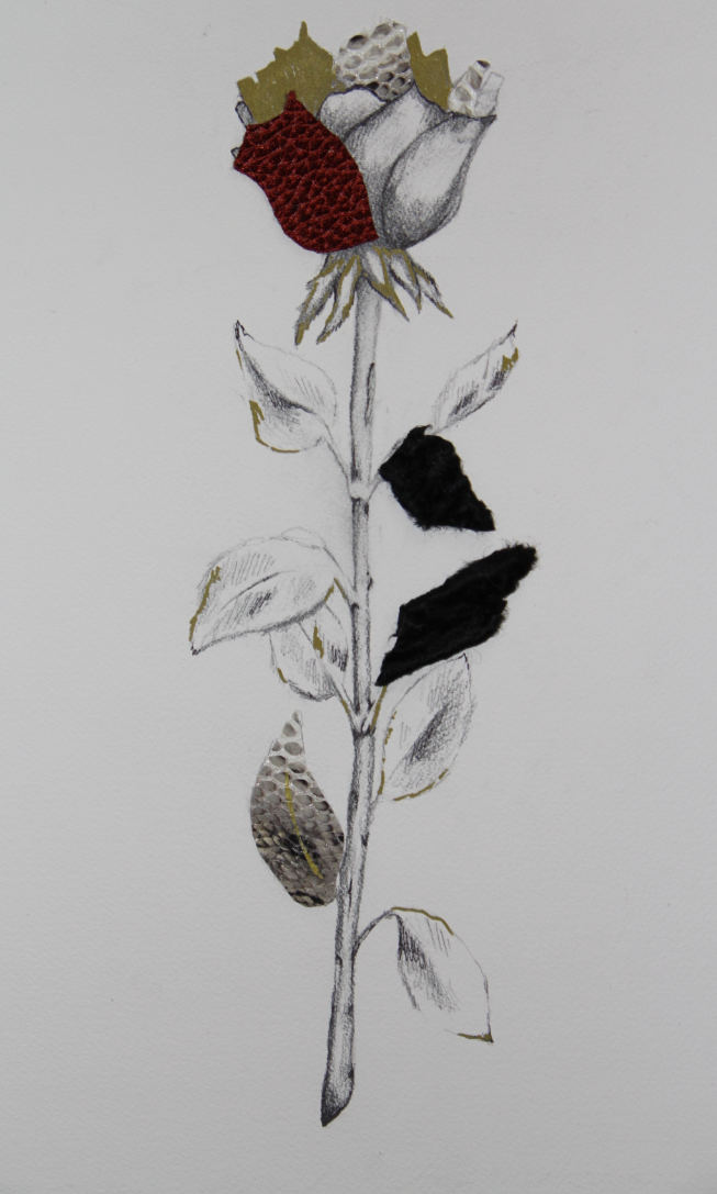 Screen shot 2015-05-26 at 5.17.34 PM.png