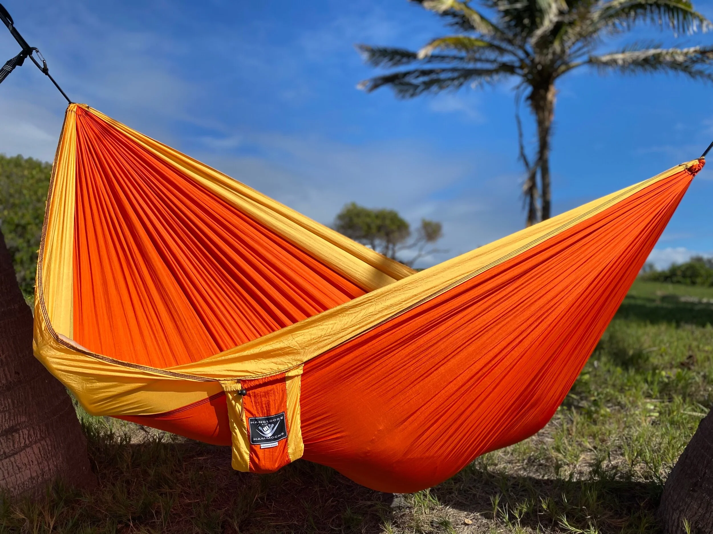 039582F6-923E-4E71-839D-98D837A6EC78