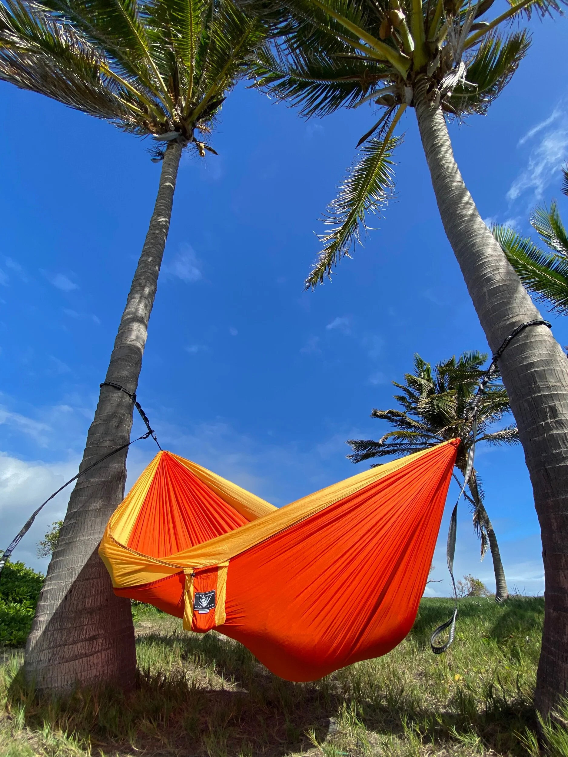 9F8946FE-5A99-4D28-AC3F-305F7E2B5F36