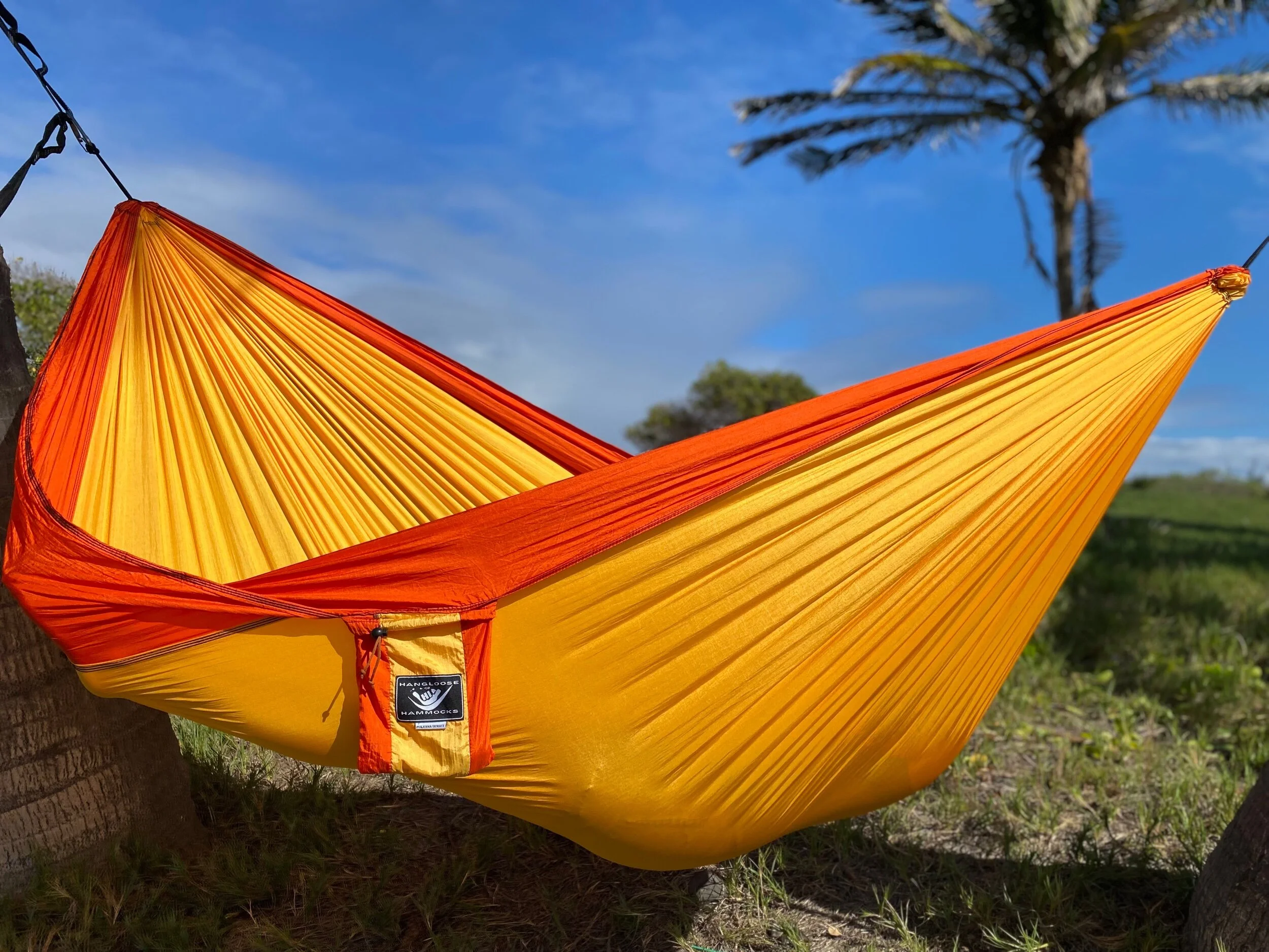 C6978883-6E0F-49C6-BFDC-52B687FF2449