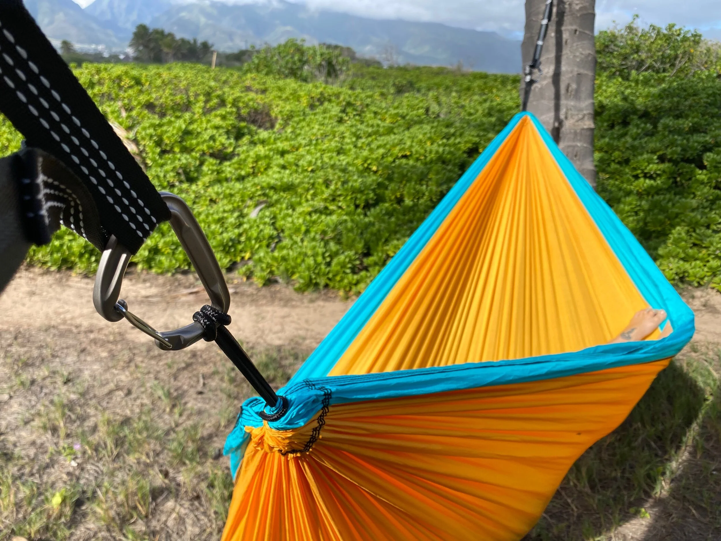 F78CB9BF-118C-44DC-87B2-A0D771DD017E