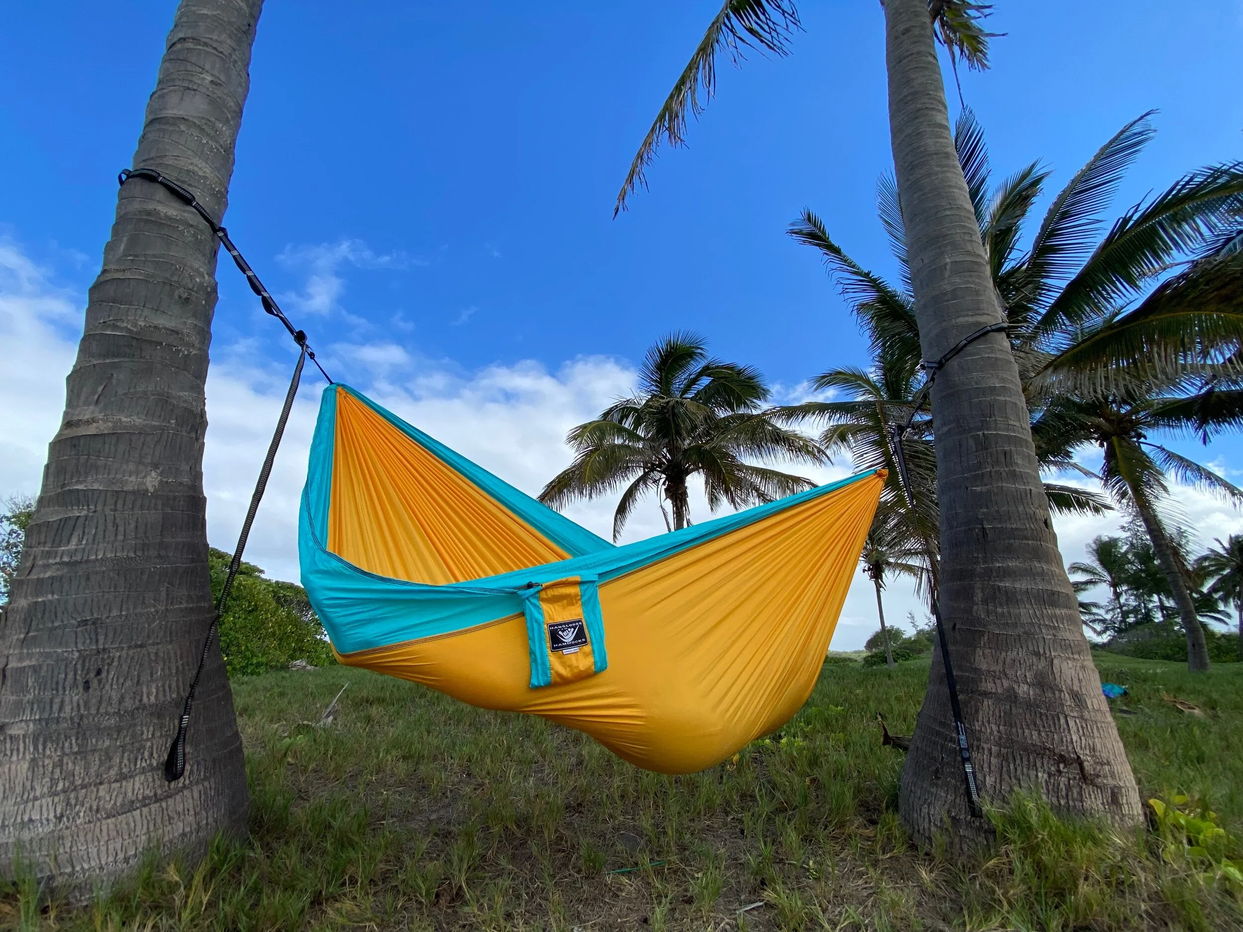 6F3C9C5B-32DD-4703-B096-2DBE42E3F493