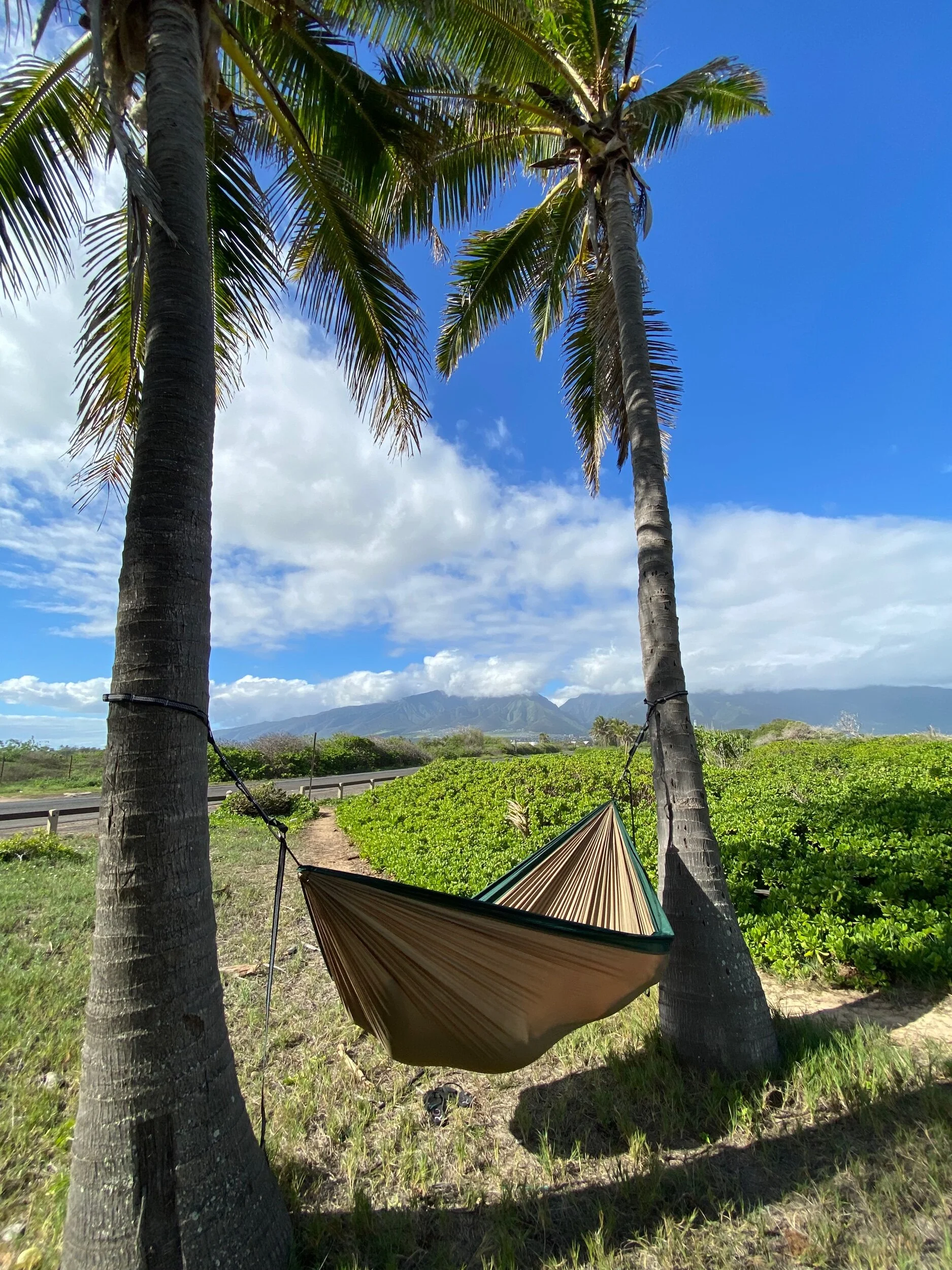 0C60054E-51BB-4E16-B3CA-0B8A9F57C2A0