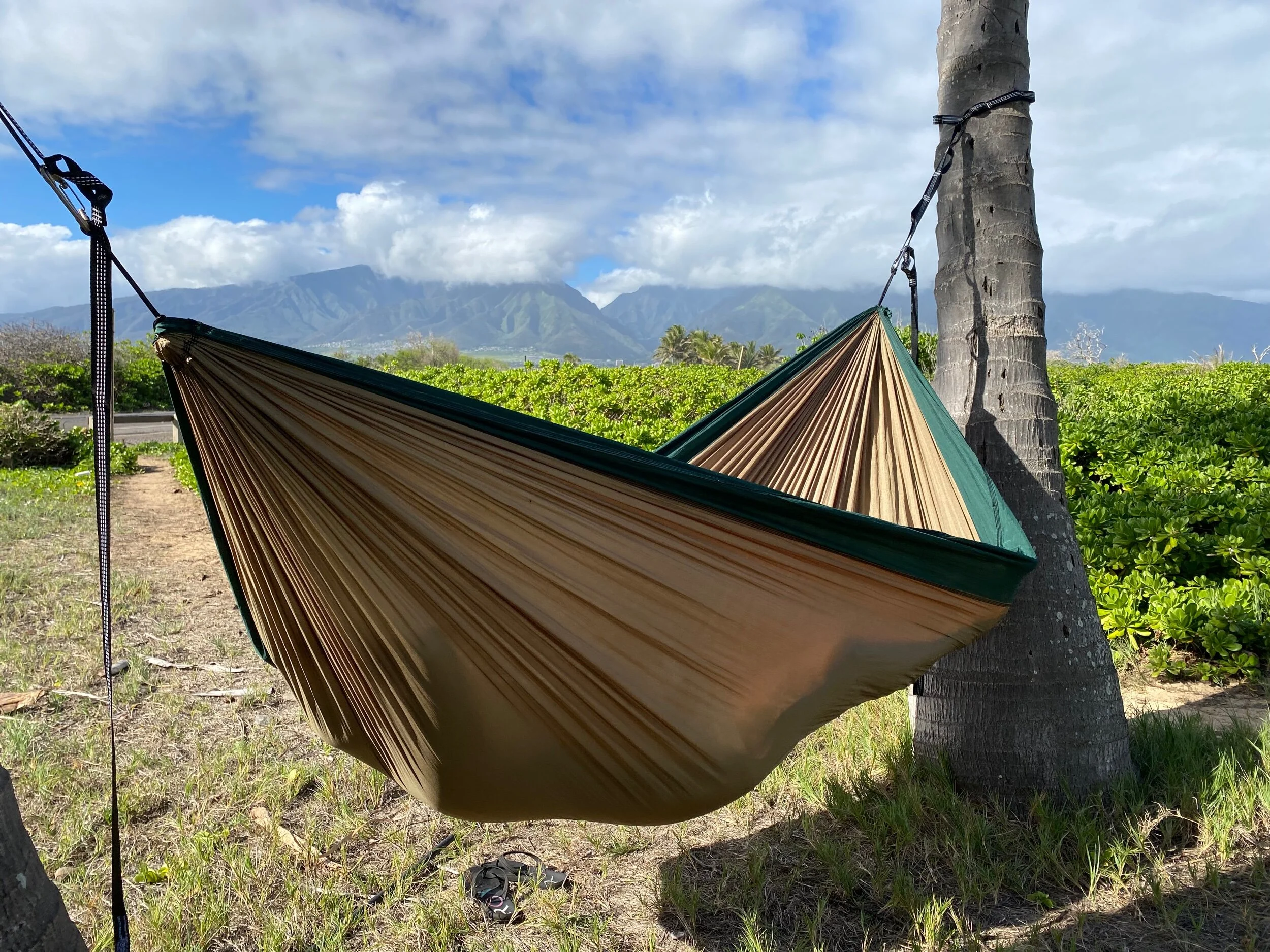 77AE3002-5F12-4F91-87A3-E467C75354A7