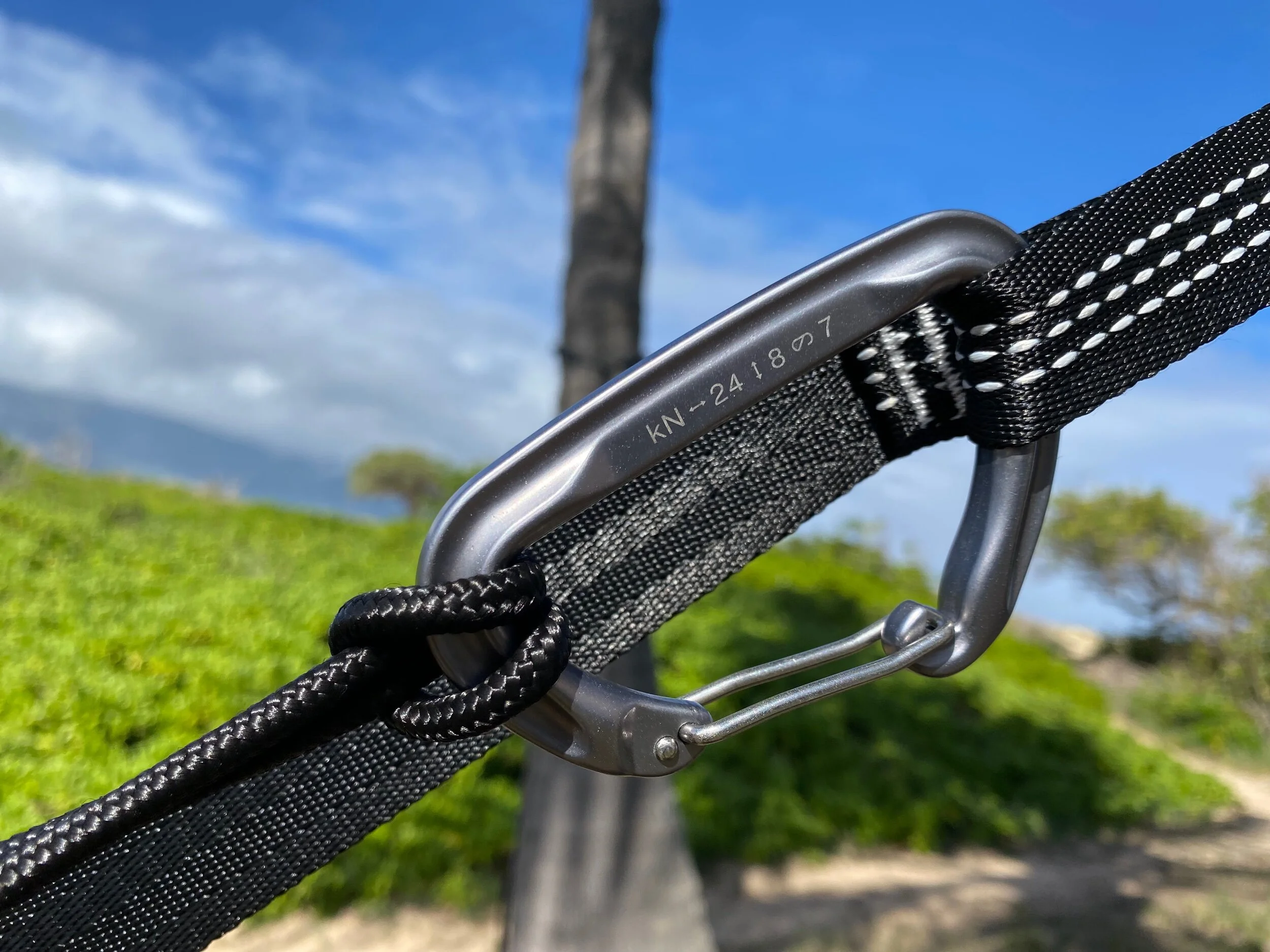 EC8BEEBF-9F9A-4D57-81D0-2D7822A2E1A0