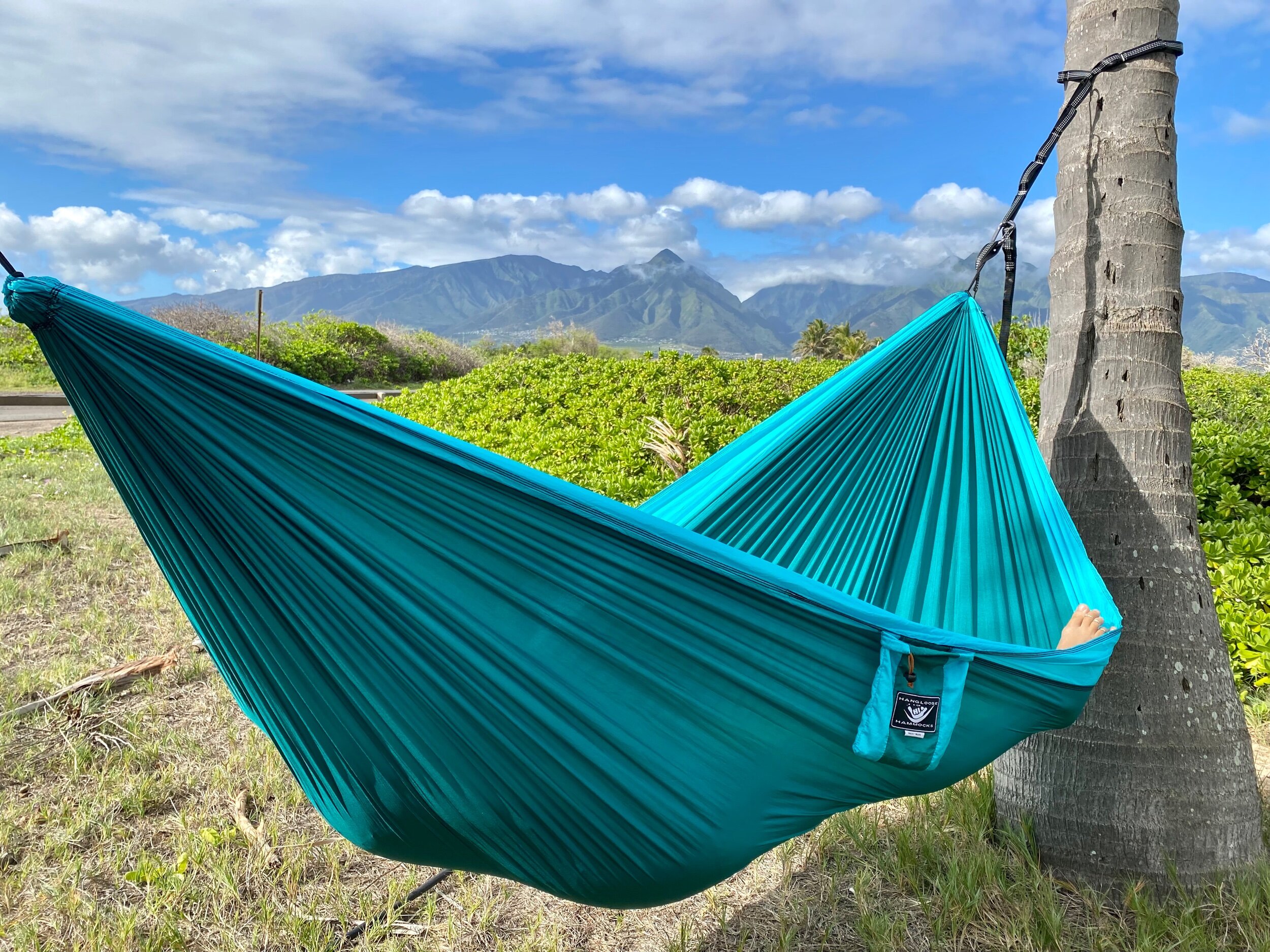 B5FFD691-53FB-44CD-AA85-F43850D5A186