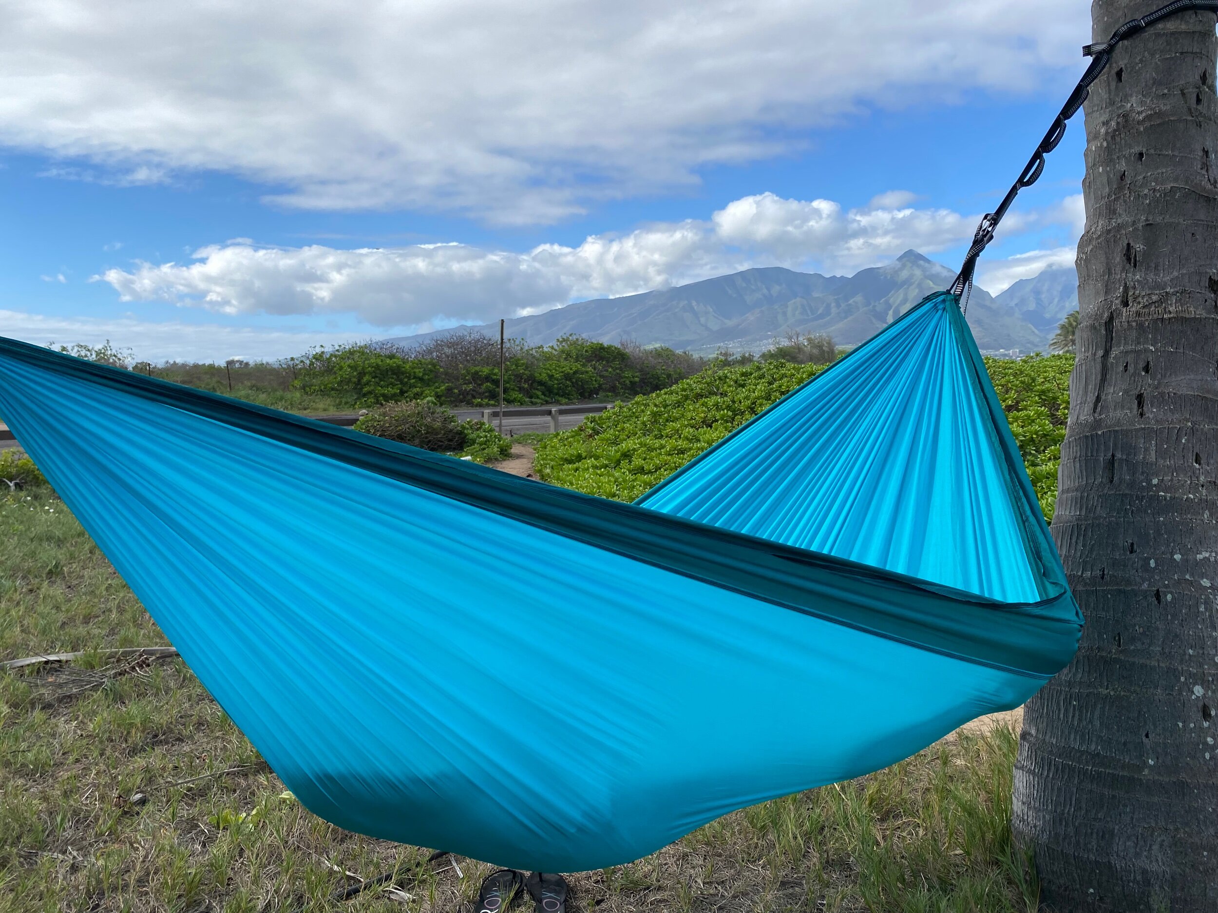 D01FBE45-6AE2-4F91-A97A-BA14B2AE32EC