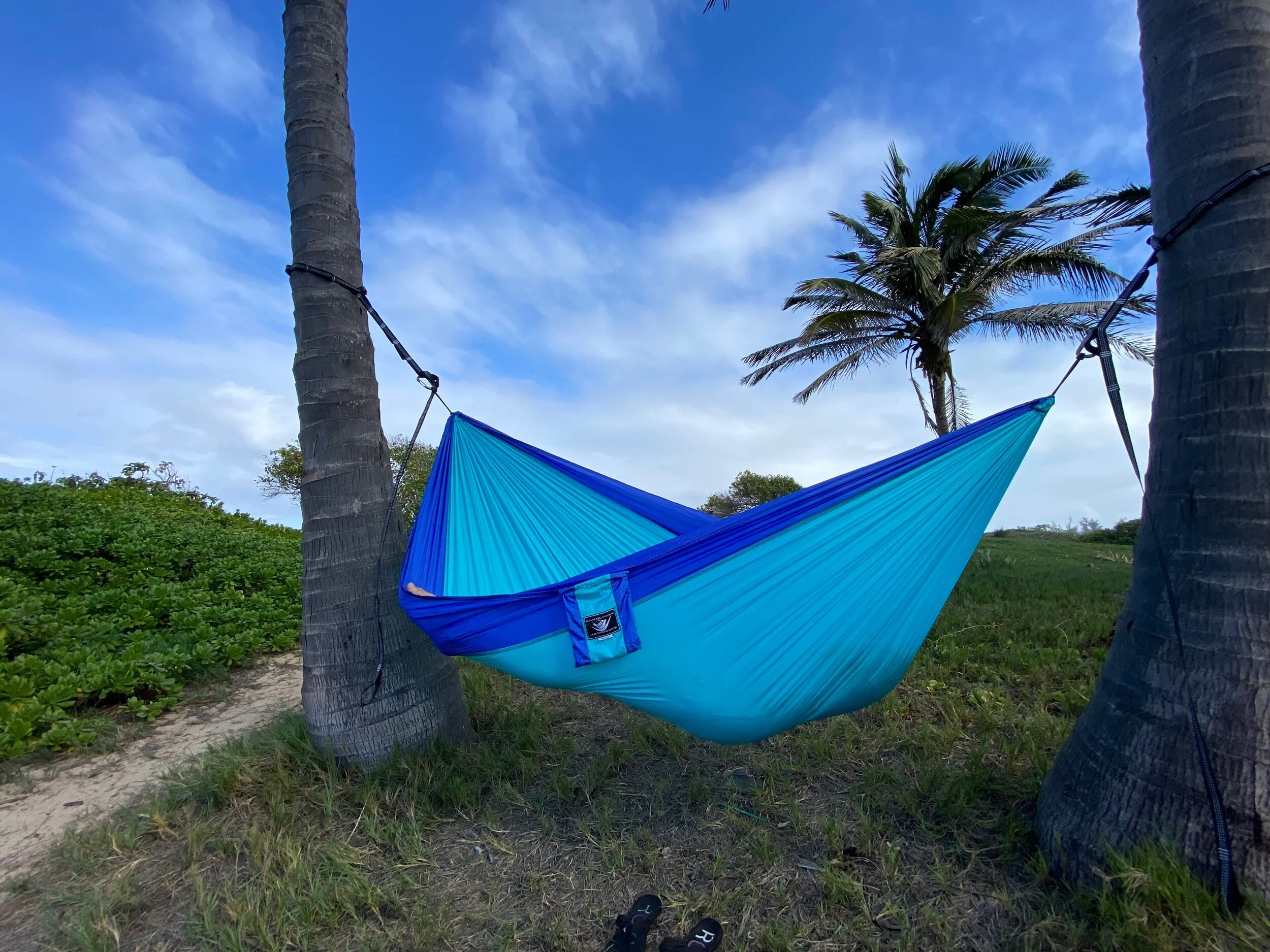 2E5F8B1F-8544-4F8F-A38C-9848730D7A28