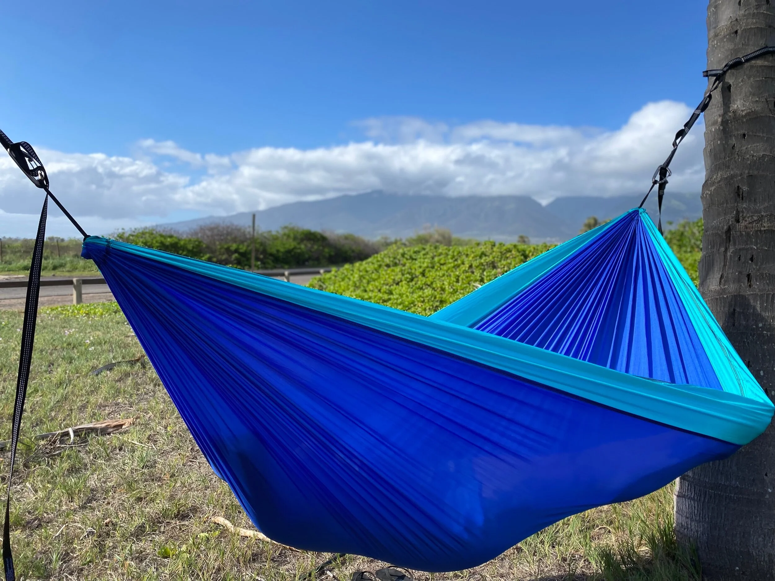 17723EB3-24DC-426E-BC77-7CBC3EEFC9C1