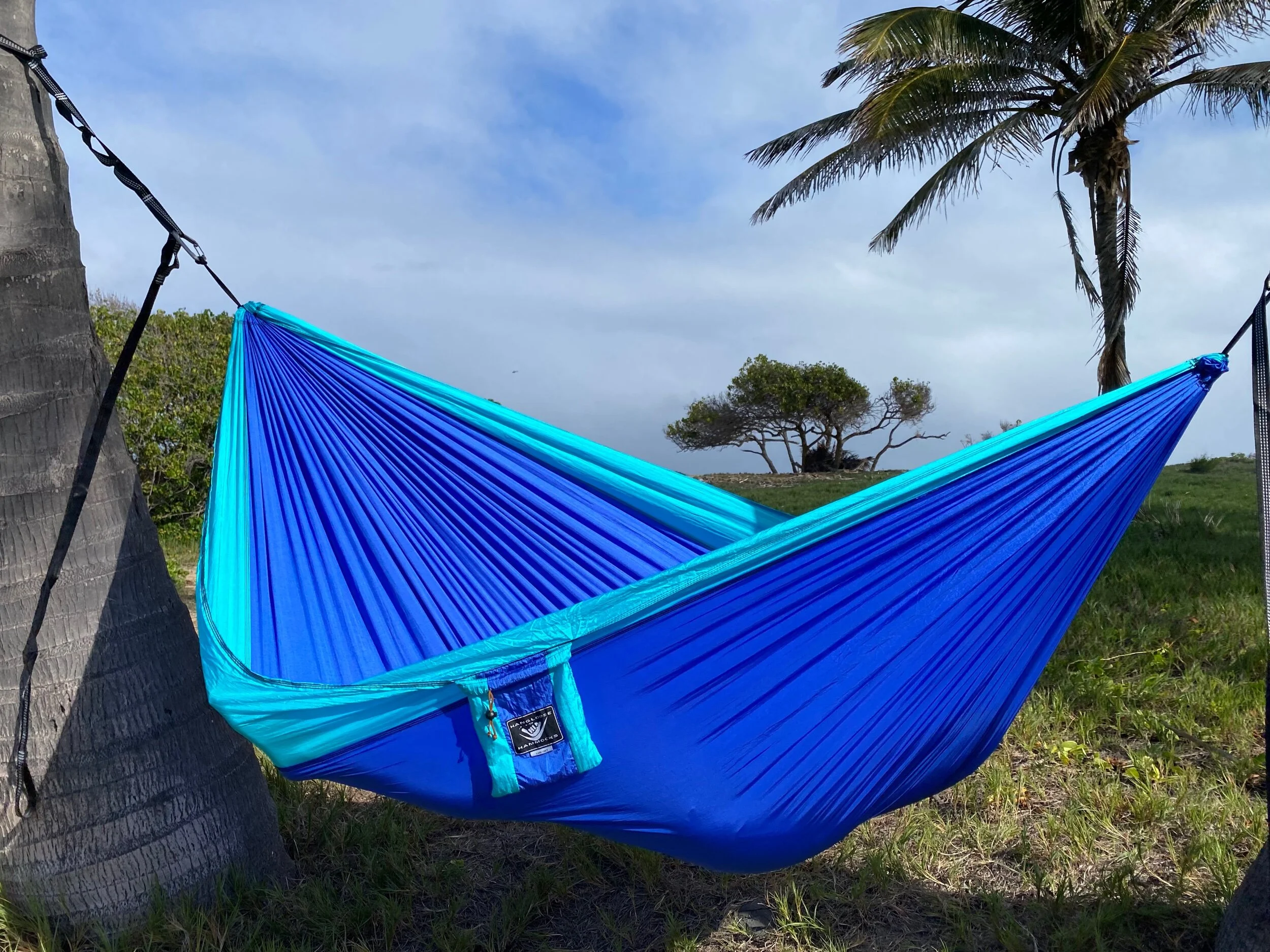 EEB66ED4-379F-4A63-9BF2-AA3DBB14DD78