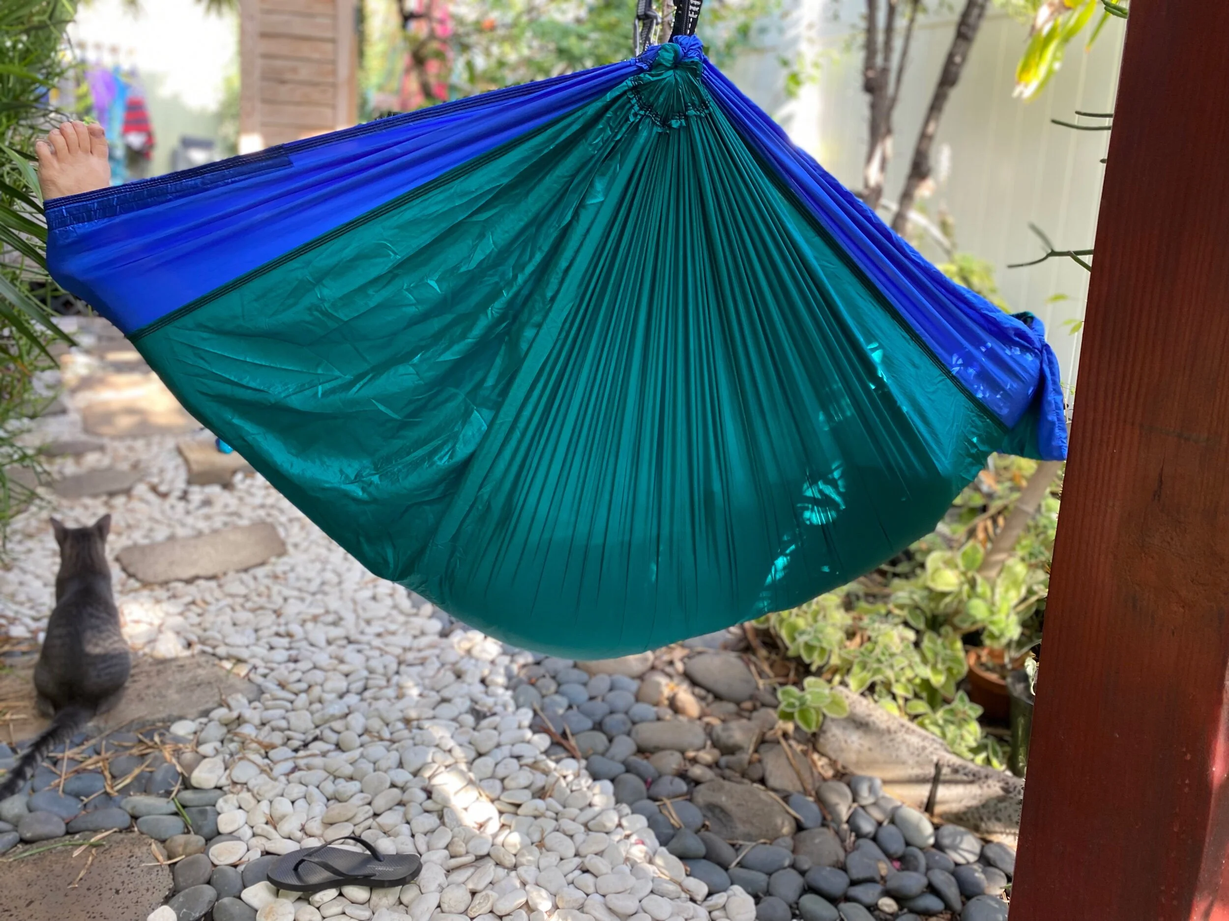 D4EB3C16-01E4-434E-8D48-A01B313645BB