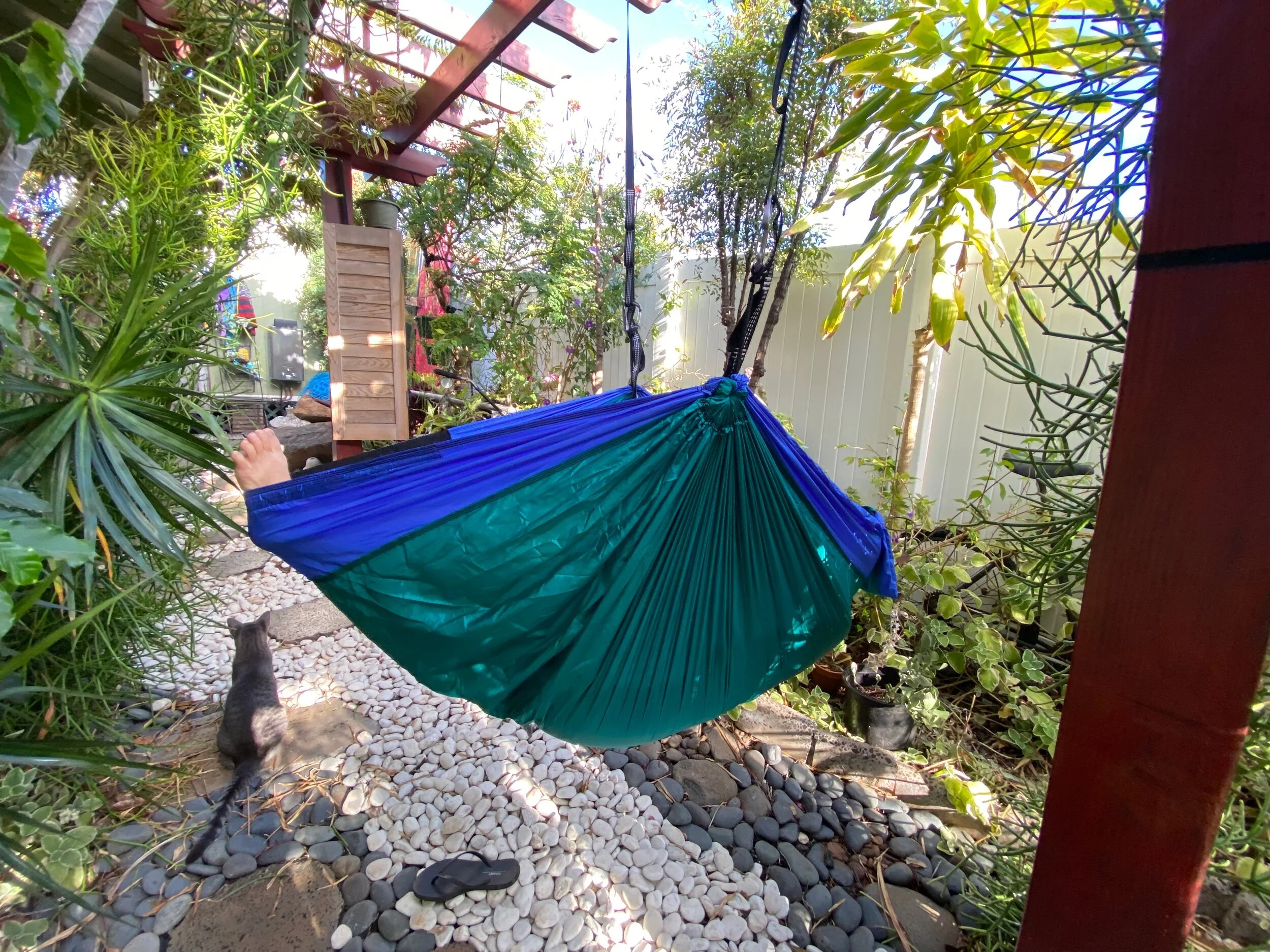 E0F68129-1BA2-420E-983E-1338910BB0CE