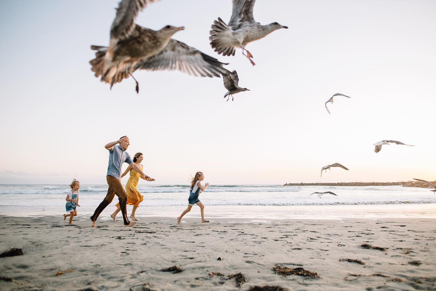 Anyone want to go chase some seagulls with me?

 
#chrissywphoto
#northcountysdphotographer
#northcountysandiegophotographer
#sandiegophotographer #sandiegofamilyphotographer #sandiegolifestylephotographer #sandiegochildphotographer #vistafamilyphoto