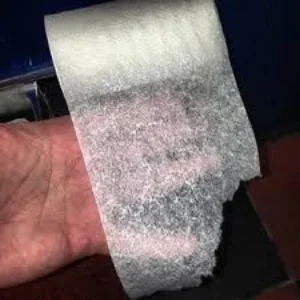 Whoever came up with the idea for 1-ply toilet paper should have to smell all the asses of the people that are forced to use it.