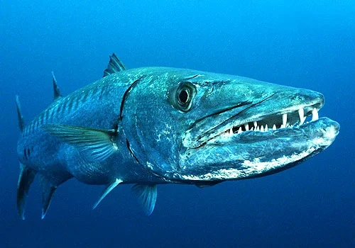 If anything deserves a good spine snapping it’s these monsters