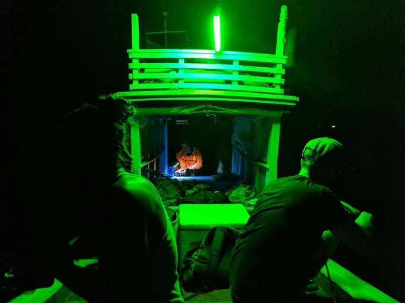 green.jpg