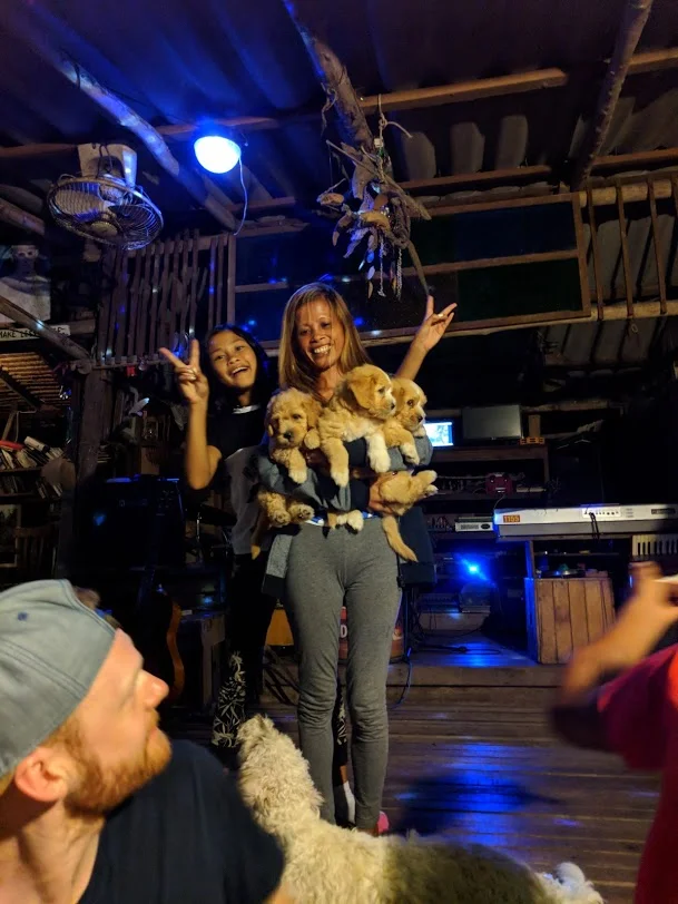 Puppies at the Eco Bar. Like come on.