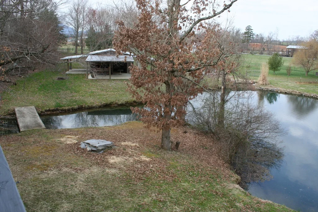Spring & Pond.jpg