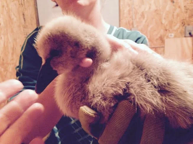 Baby at 2 weeks IIII.jpg