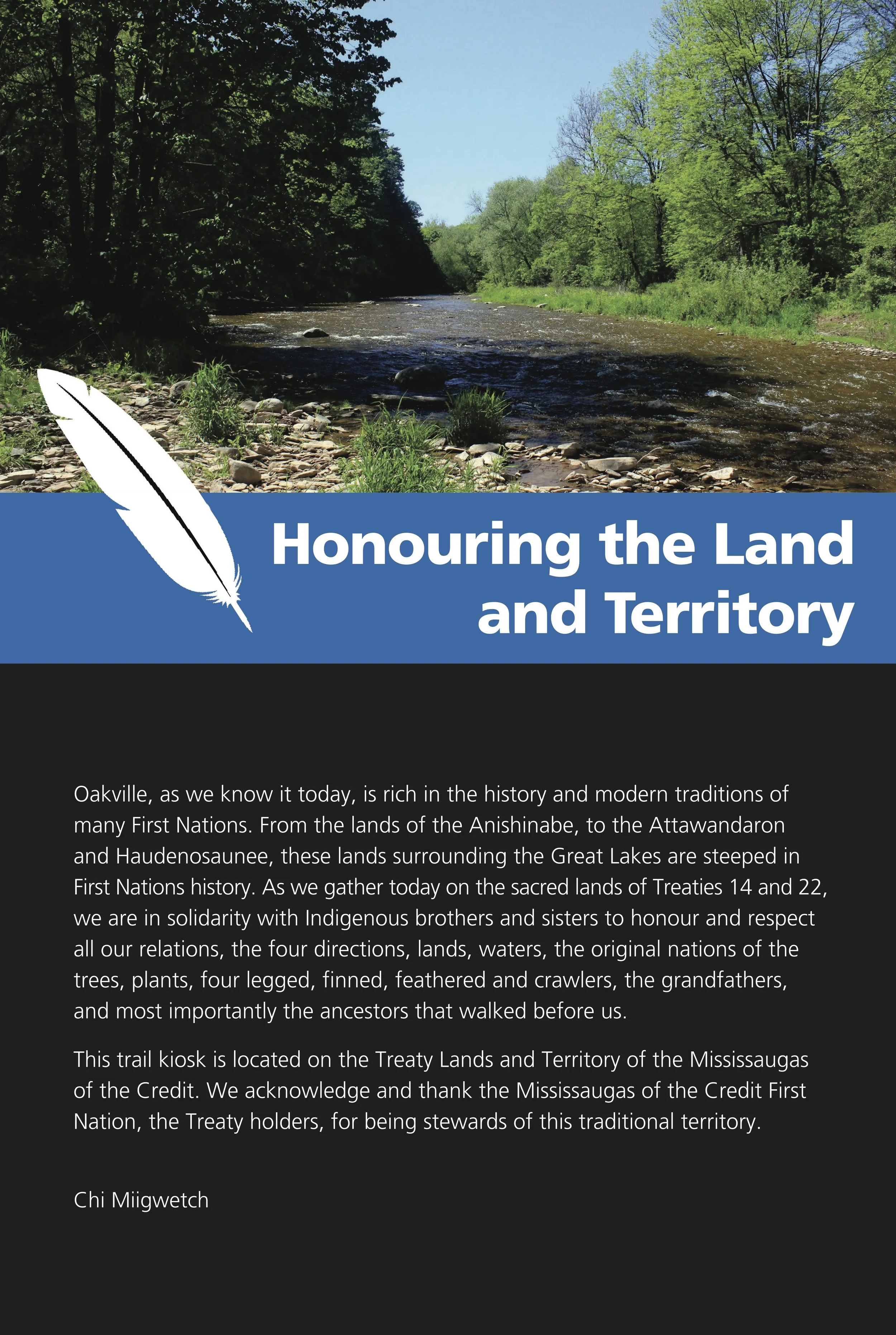 6Copy of Buttonbush panels print version (1).jpg