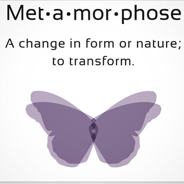 More than ever we are being asked to change... and it all begins in our own mind. 
Come join us and get on your mat, slow yourself down and breathe. 
All classes still have availability this week. Please reserve your spot at www.metamorphoseyoga.com
