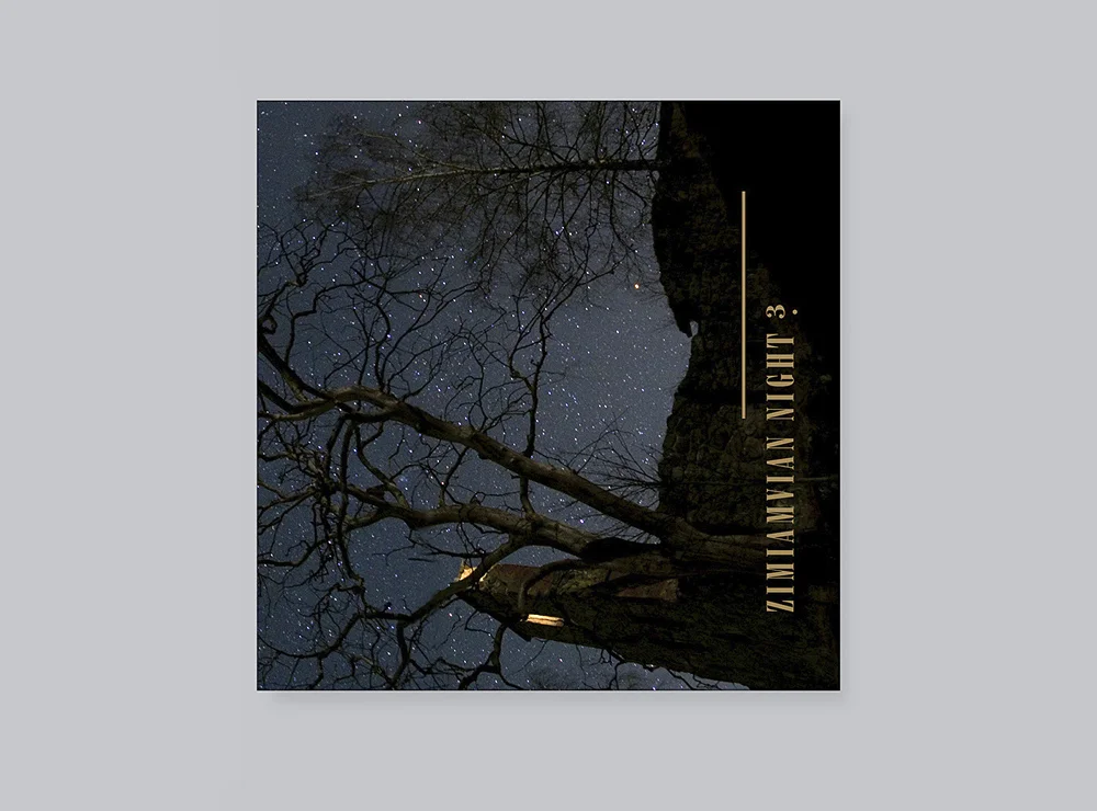 thumb_zimiamviannight.jpg