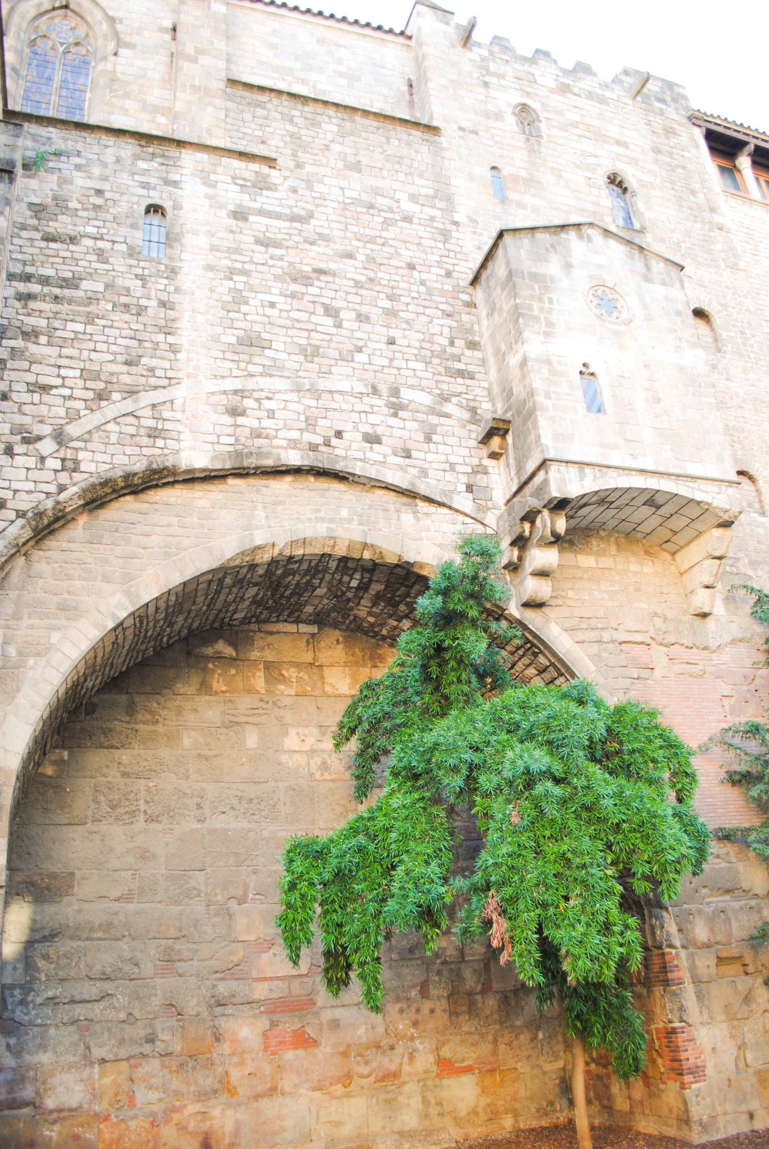 Gothic District in Barcelona, Spain