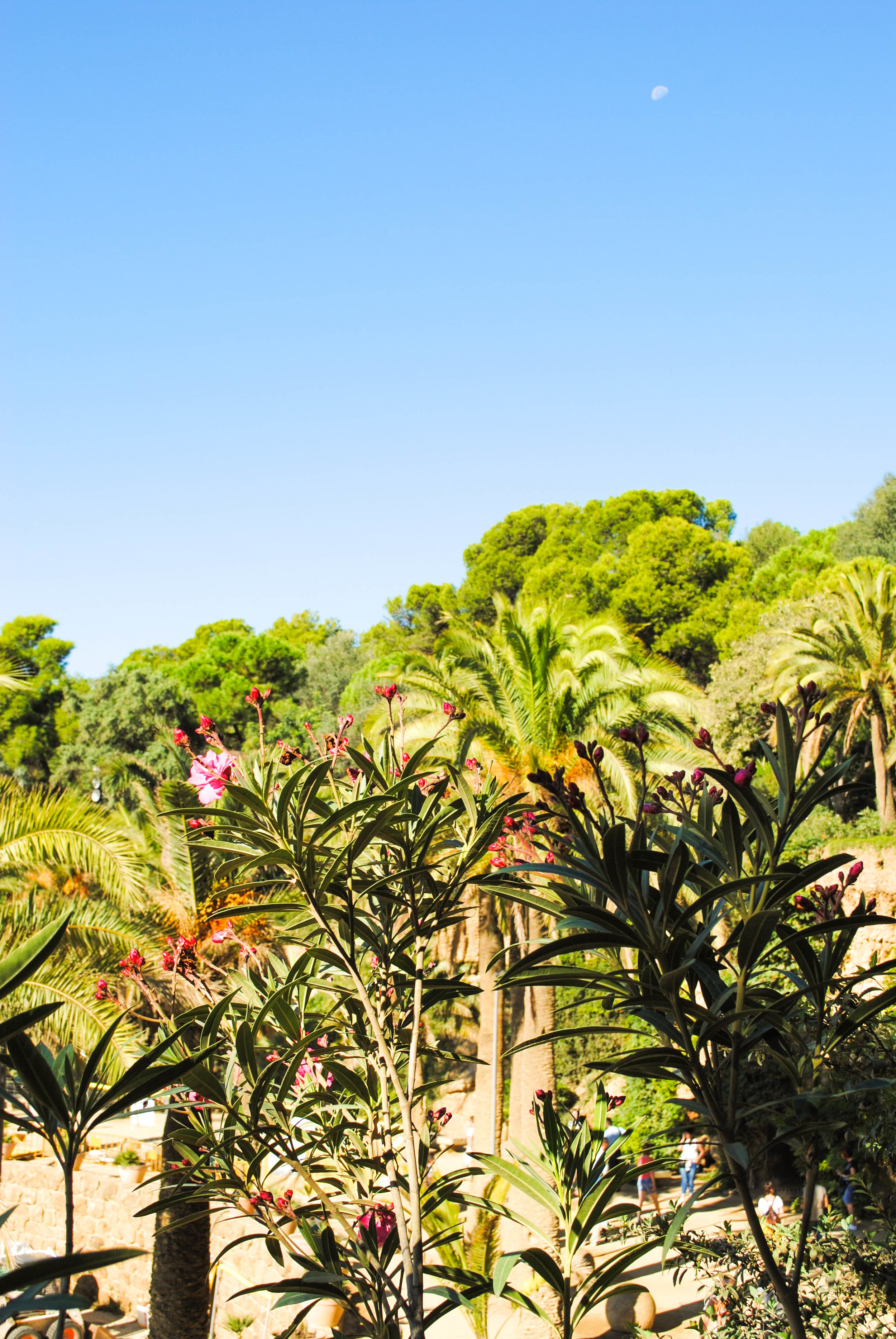 Park Güell in Barcelona, Spain