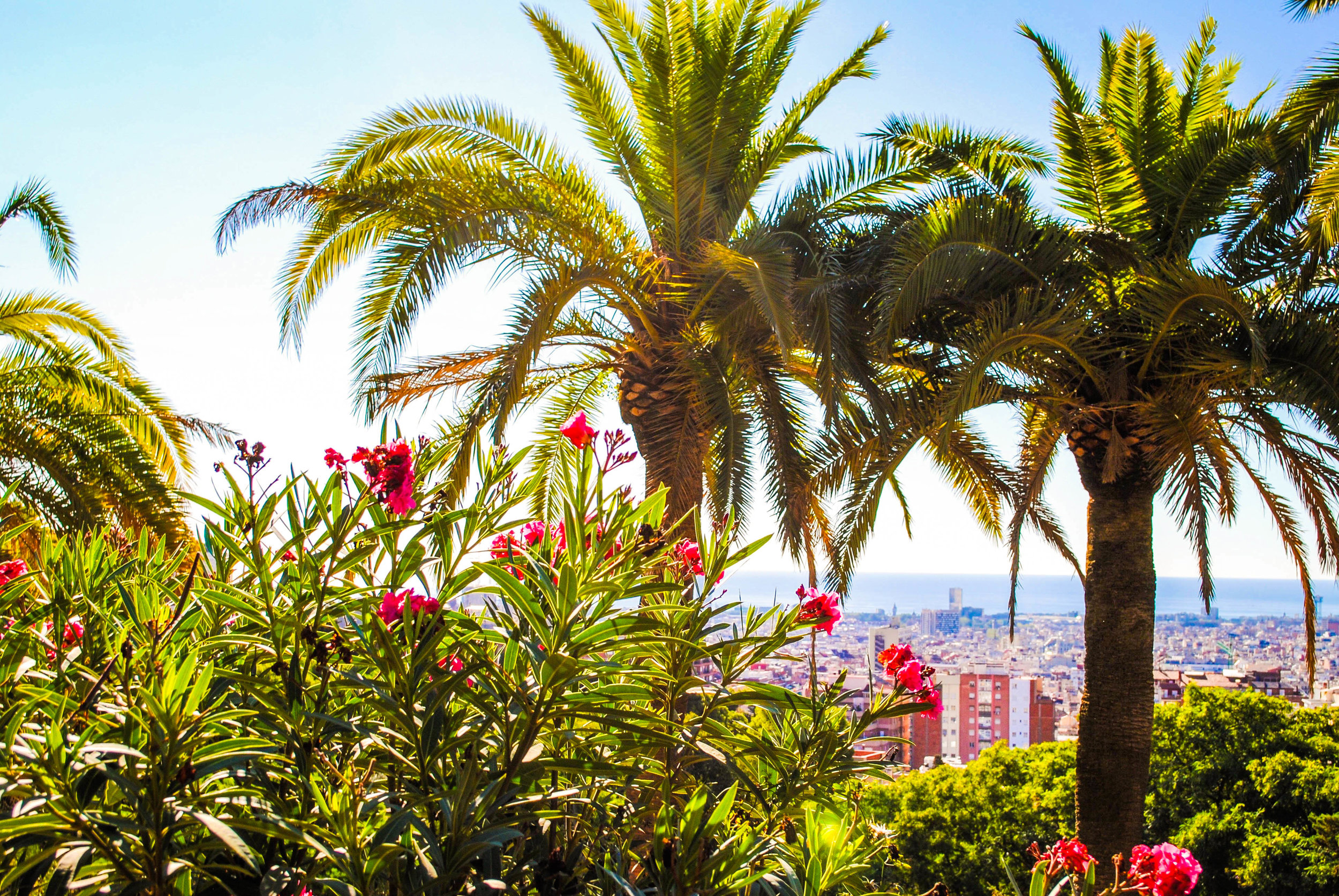 Park Güell in Barcelona, Spain