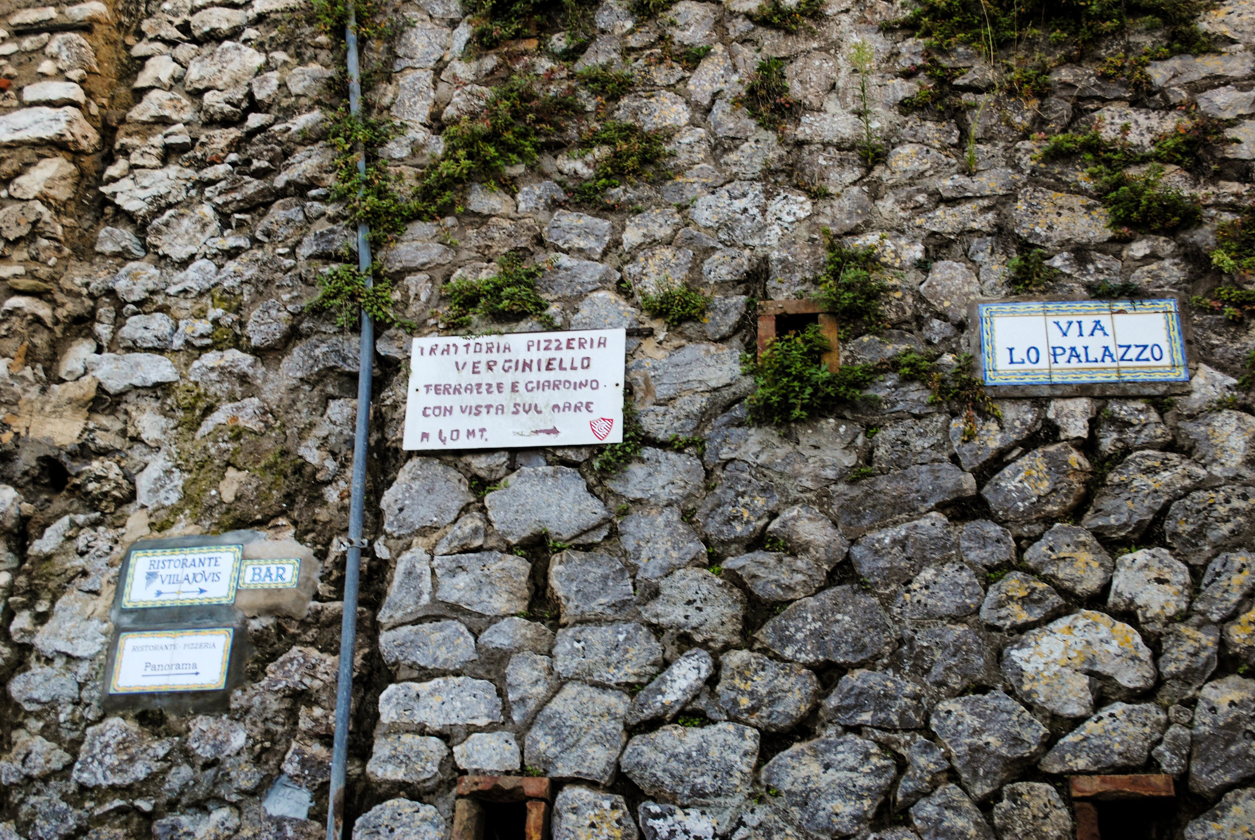 DSC_0917.jpg