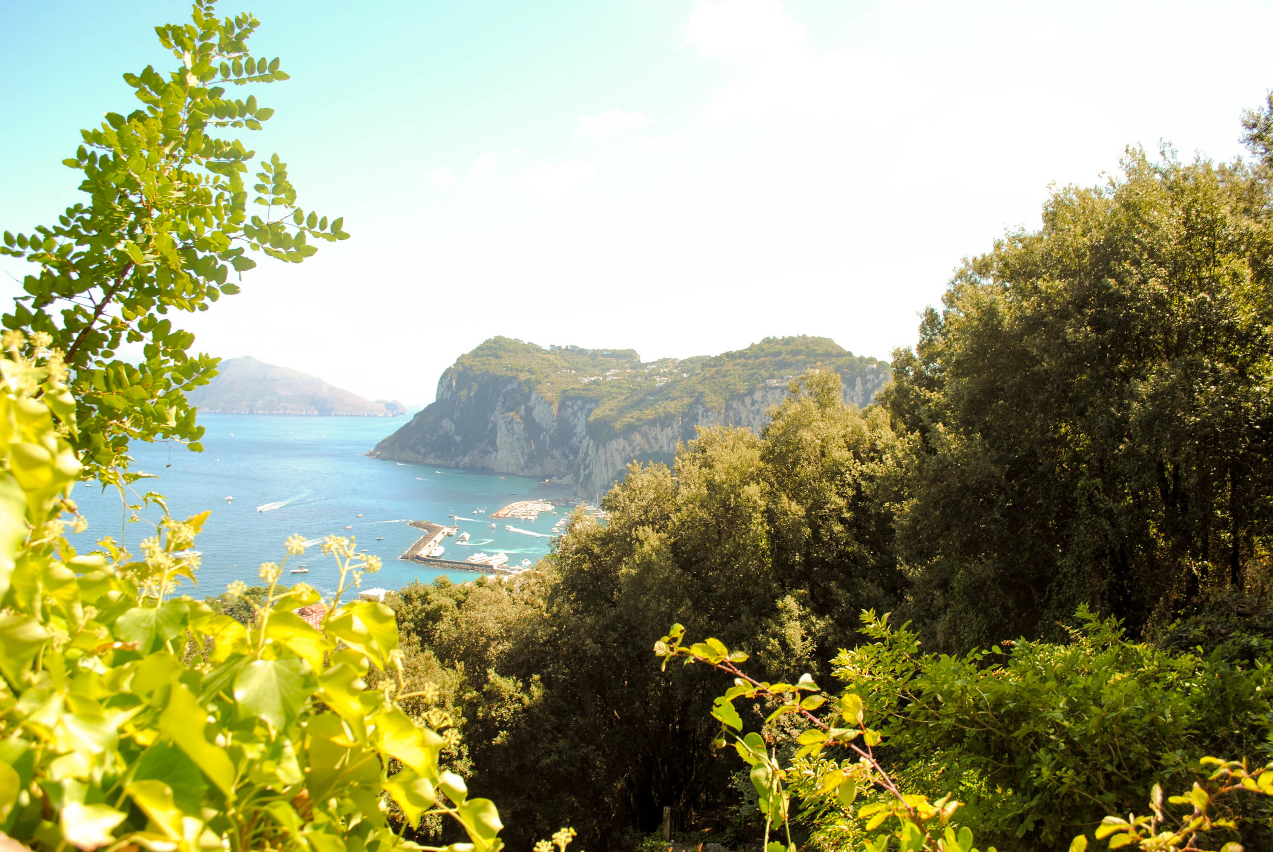 DSC_0126.jpg