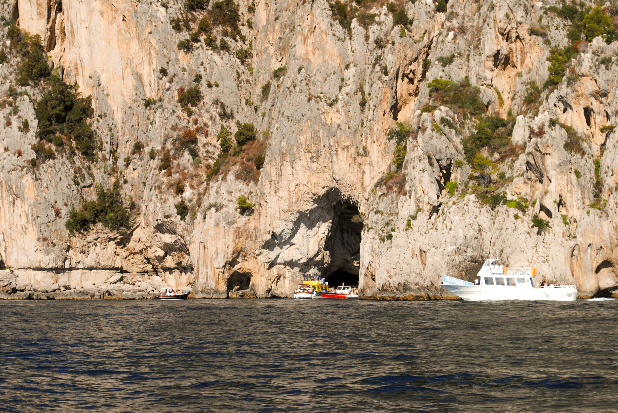 DSC_0045.jpg