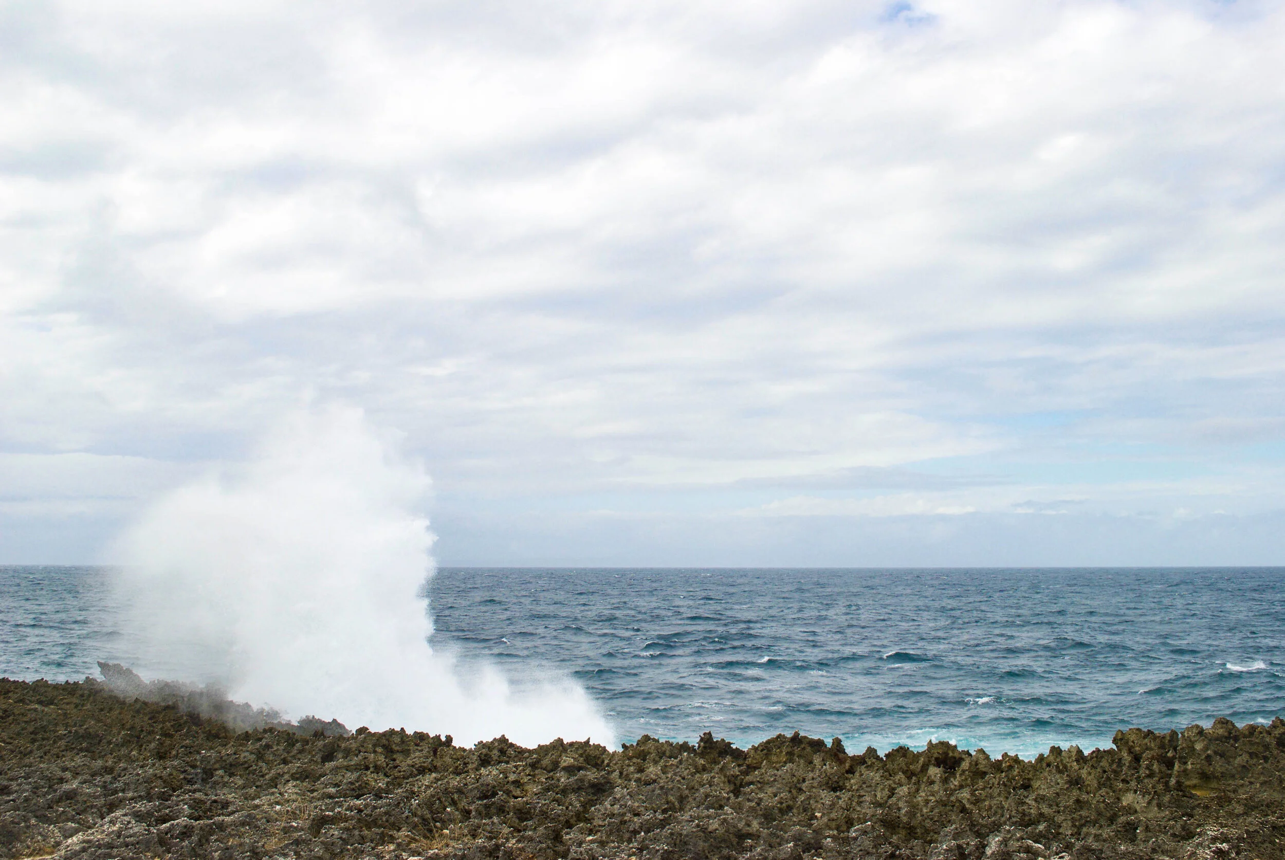 DSC_0747.jpg