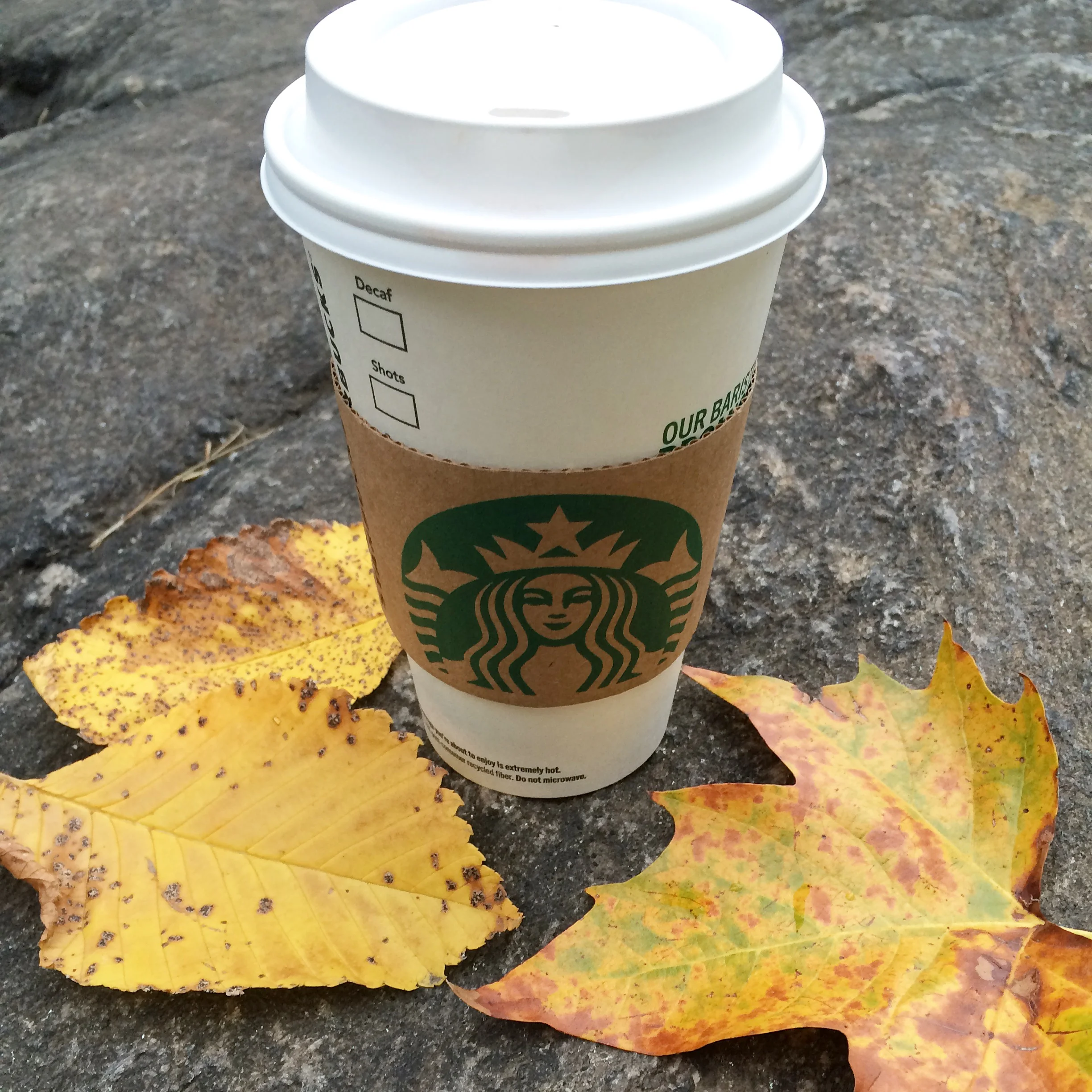 FALL BUCKET LIST 2015