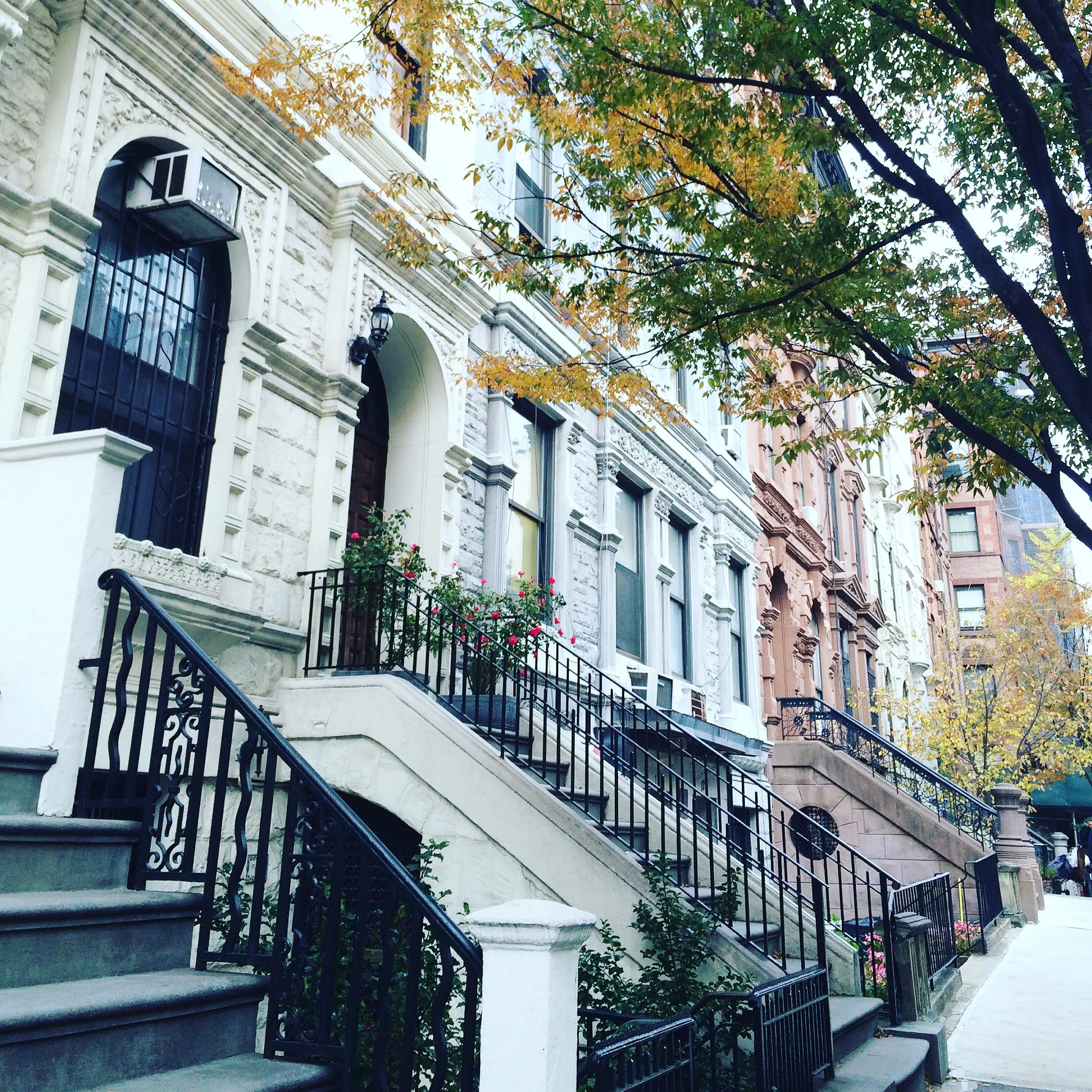 YEAR 2 OF LIVING IN NEW YORK CITY