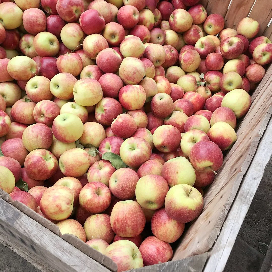 FALL BUCKET LIST 2018 