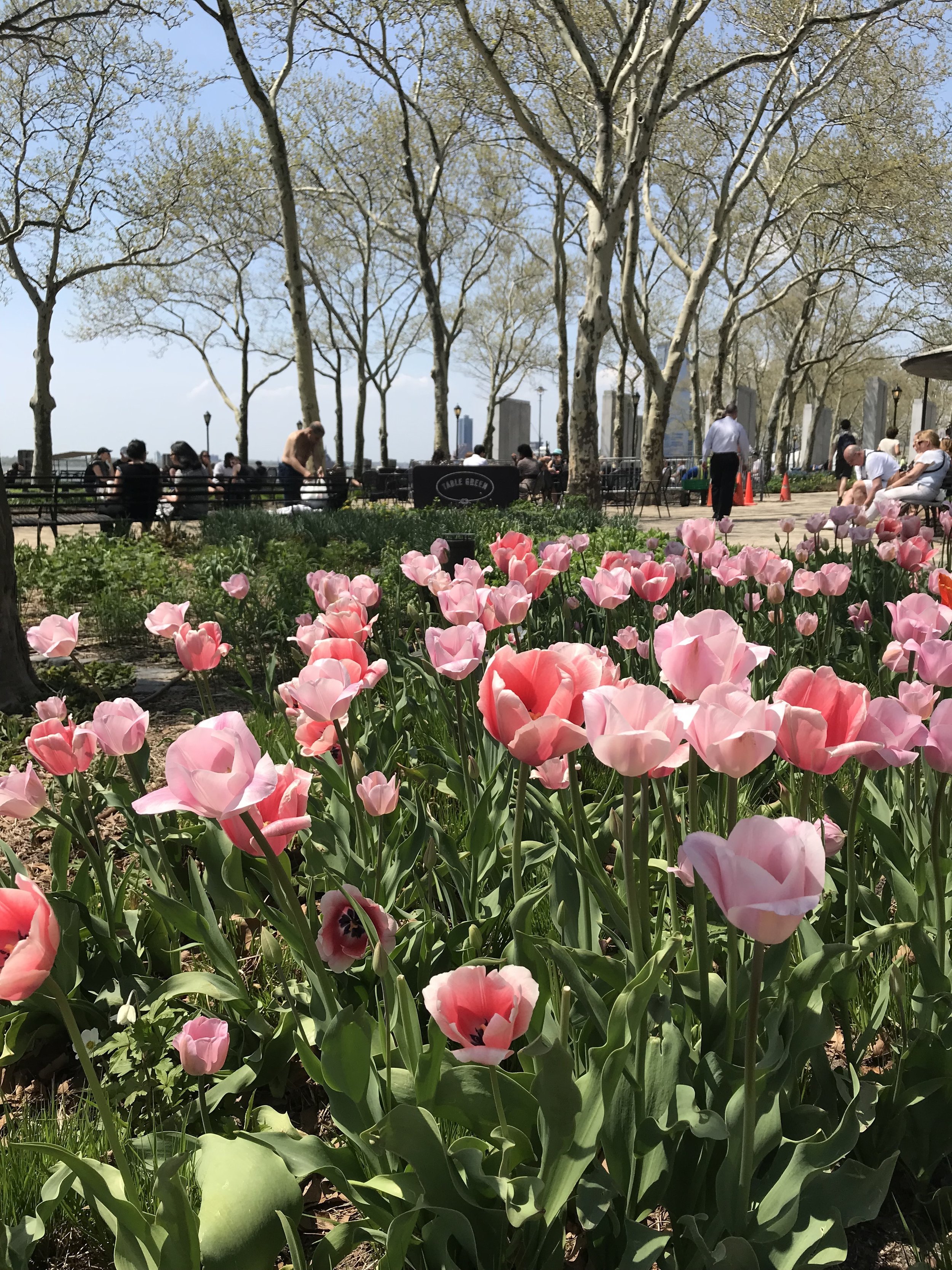 Battery Park 