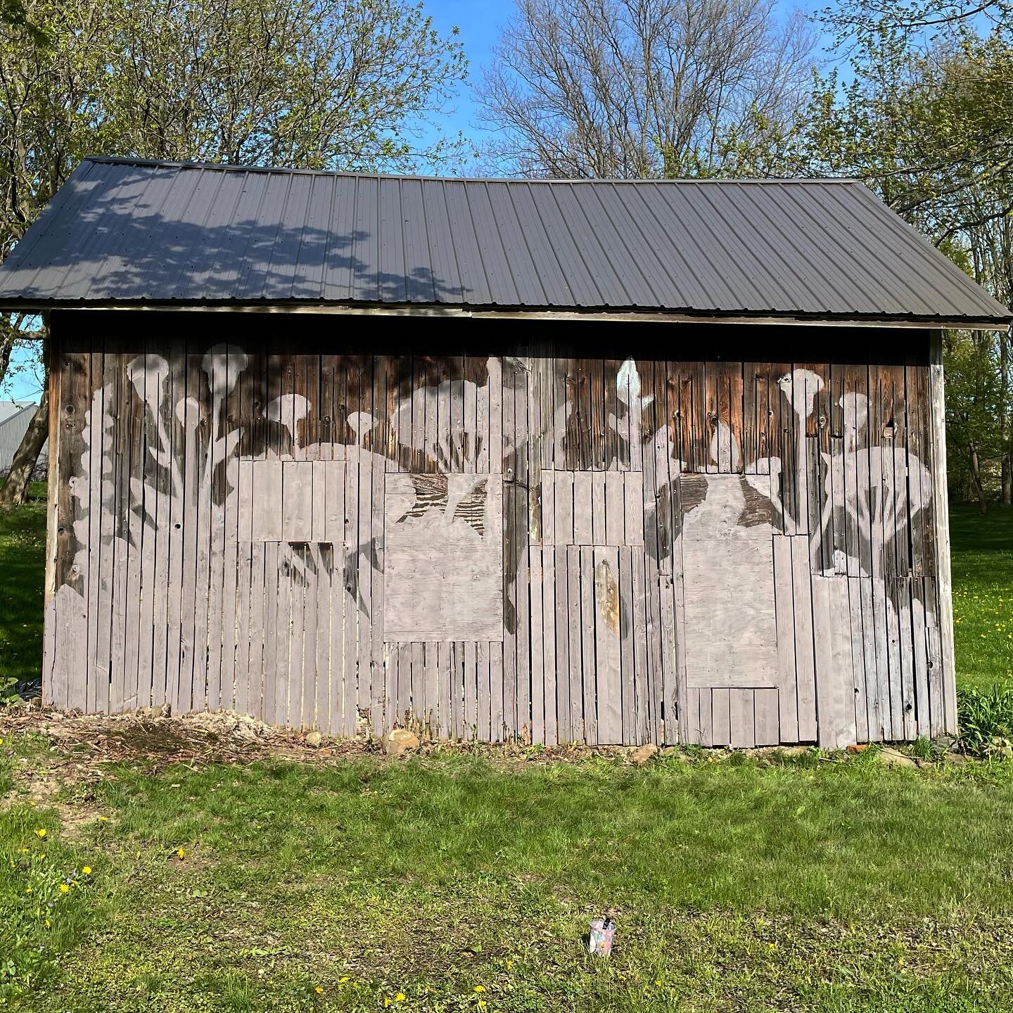 Happy Mural Monday, progress shots from todays start on a new mural for @hayloftinthegrove .  Follow along for updates and the final product! 
.
.
#muralart #ladieswhopaint #muralartist #womenmuralists #womenartists #mural #muralmagic #eastaurorany #