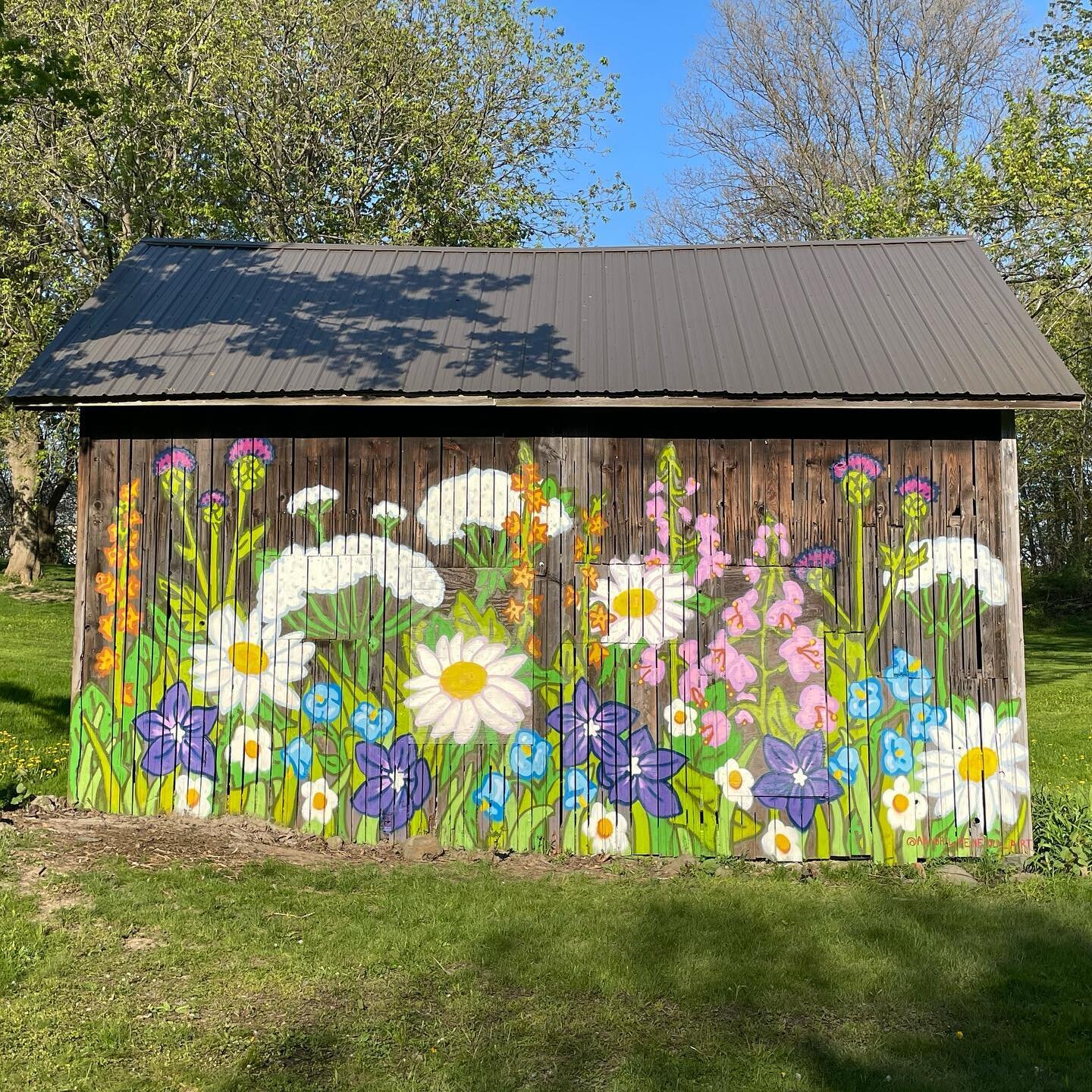 &ldquo;Wildflowers in the Grove&rdquo; Spray paint mural for @hayloftinthegrove complete! 
.
.
@montana_colors #montanaspraypaint #muralartist #spraypaintart #eastaurorany #buffaloartist #716art #muralist #womenwhopaint #ladieswhopaint