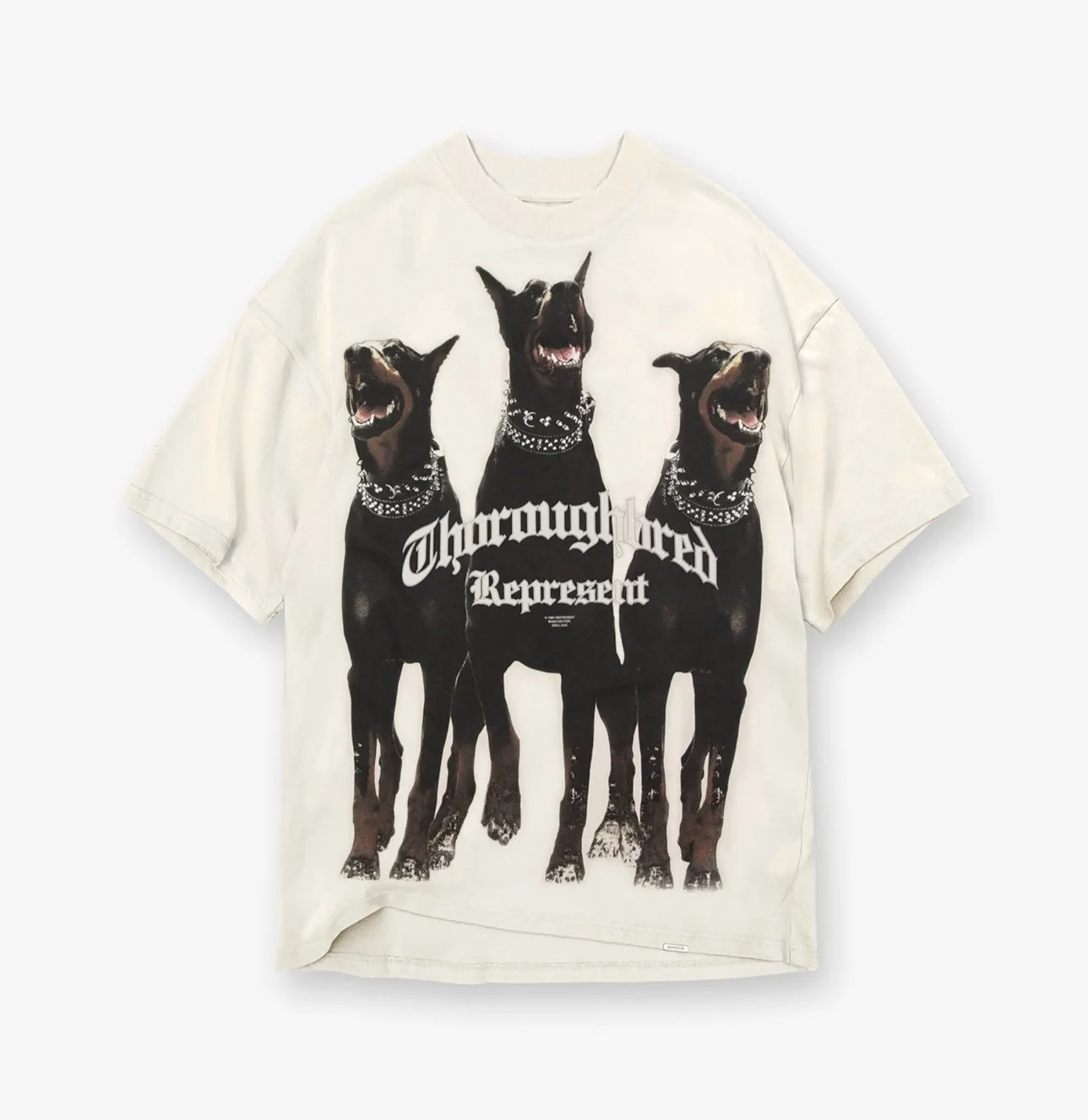 Image 11-20-25 at 2.07 PM (1).jpeg (Copy)