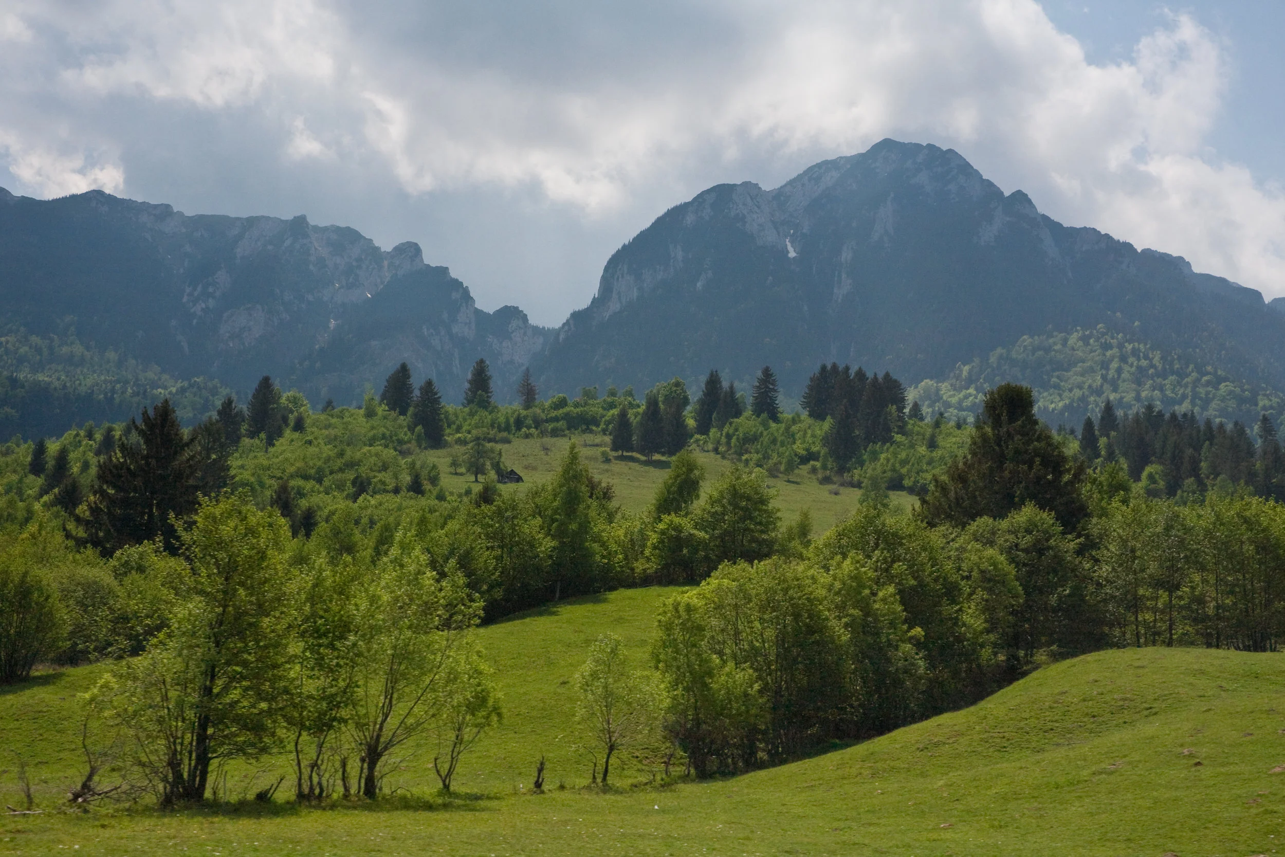 Rolling_hills_leading_into_the_Piatra_Craiului_Mountains[1].jpg